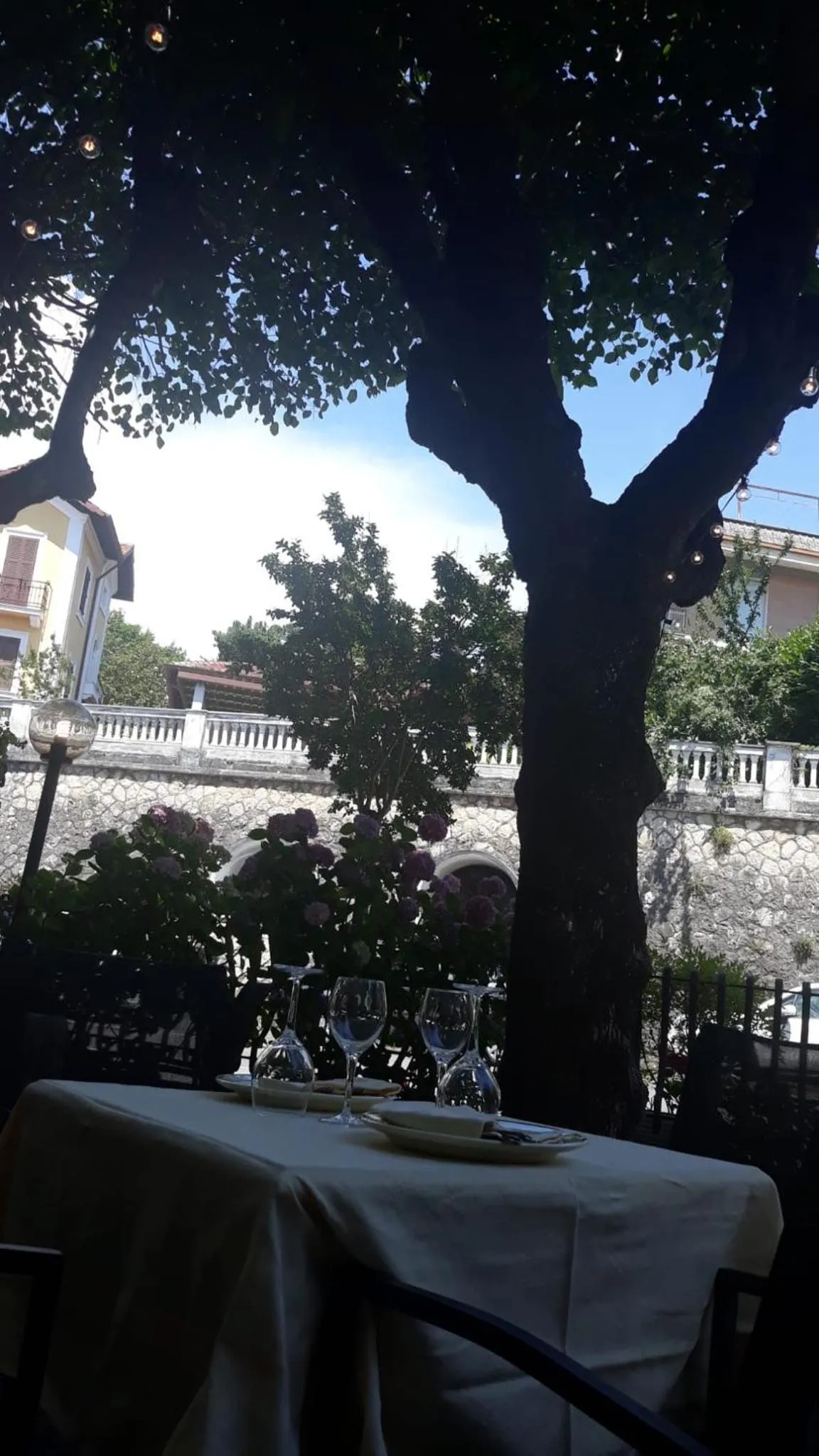 Natural landscape in Hotel Delle Ortensie