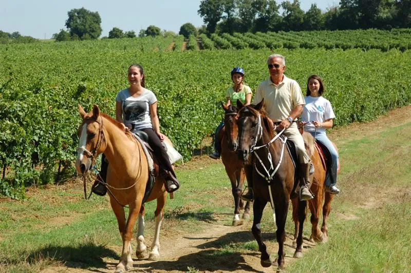 Horse-riding in Hotel Delle Ortensie