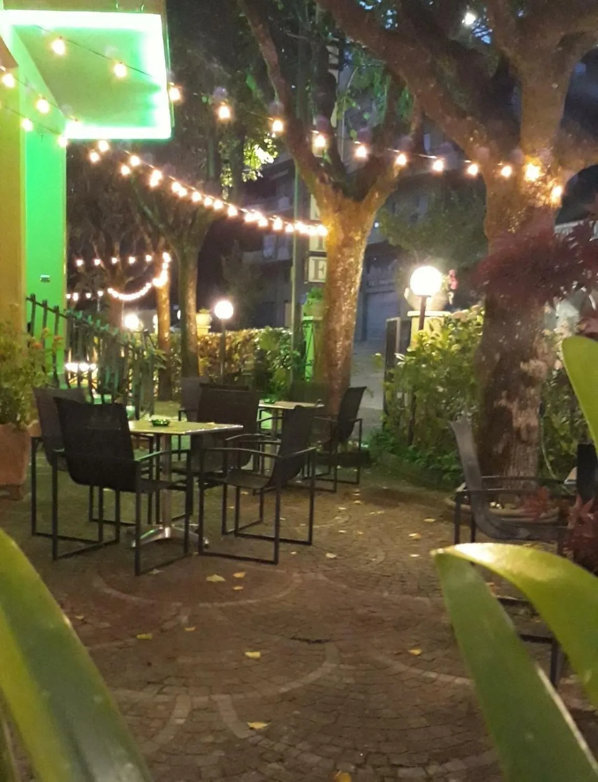 Garden view in Hotel Delle Ortensie