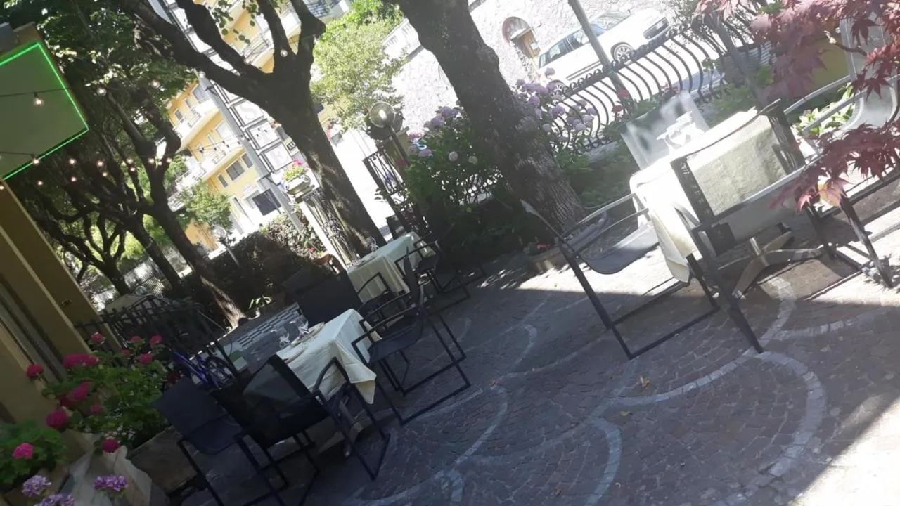 Garden in Hotel Delle Ortensie