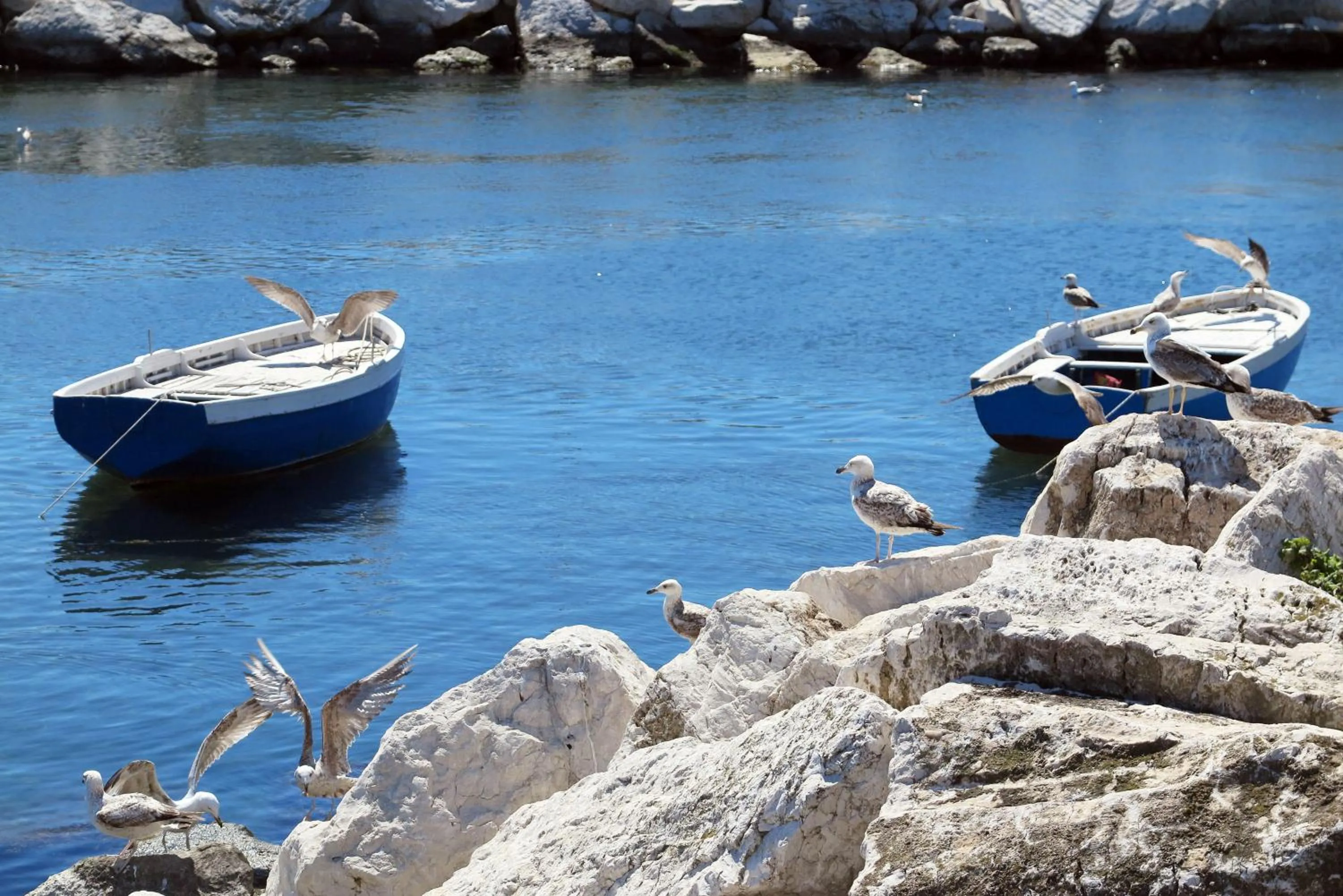 Other in B&B Palazzo Mirelli