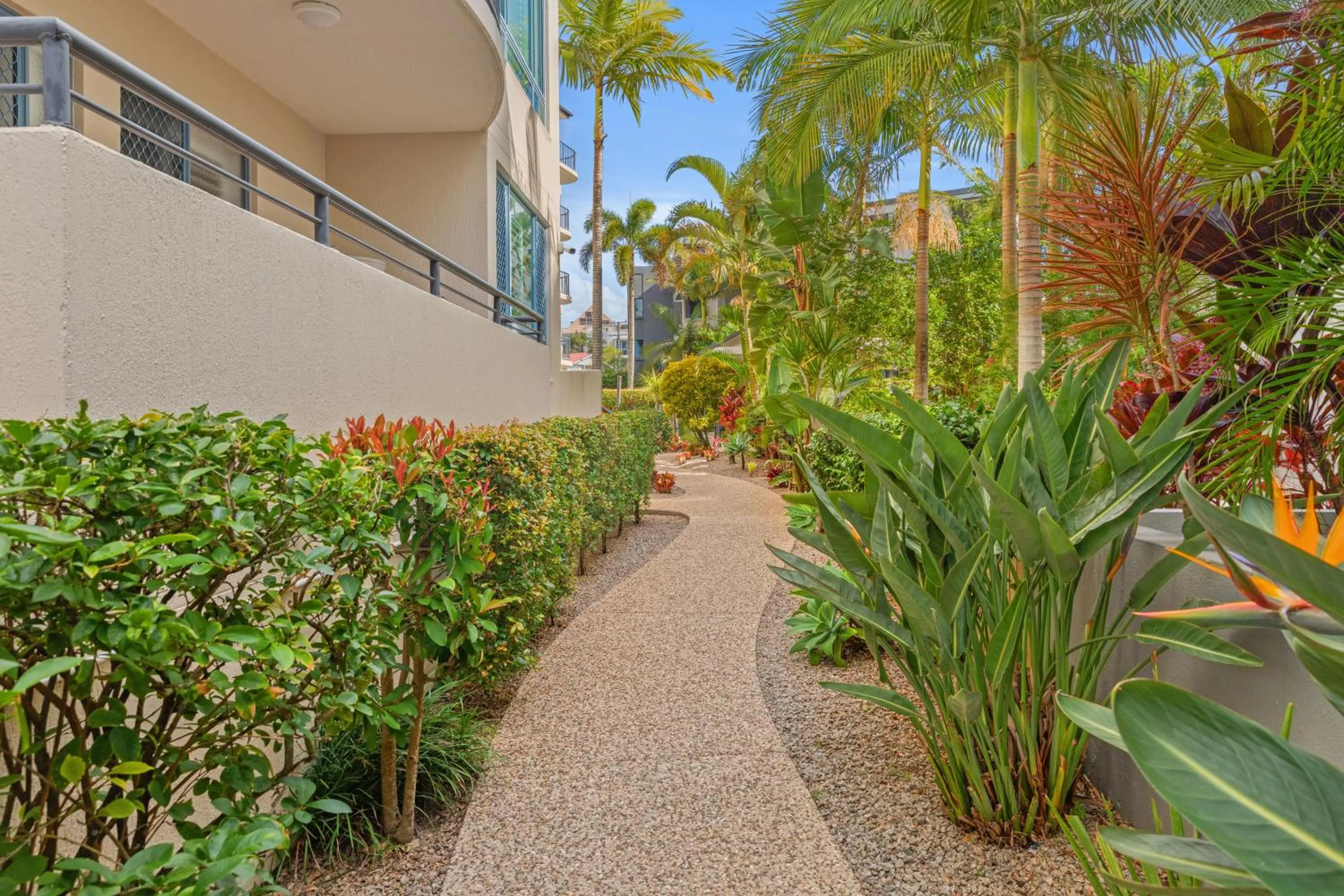 Garden in Alexandra on the Pacific