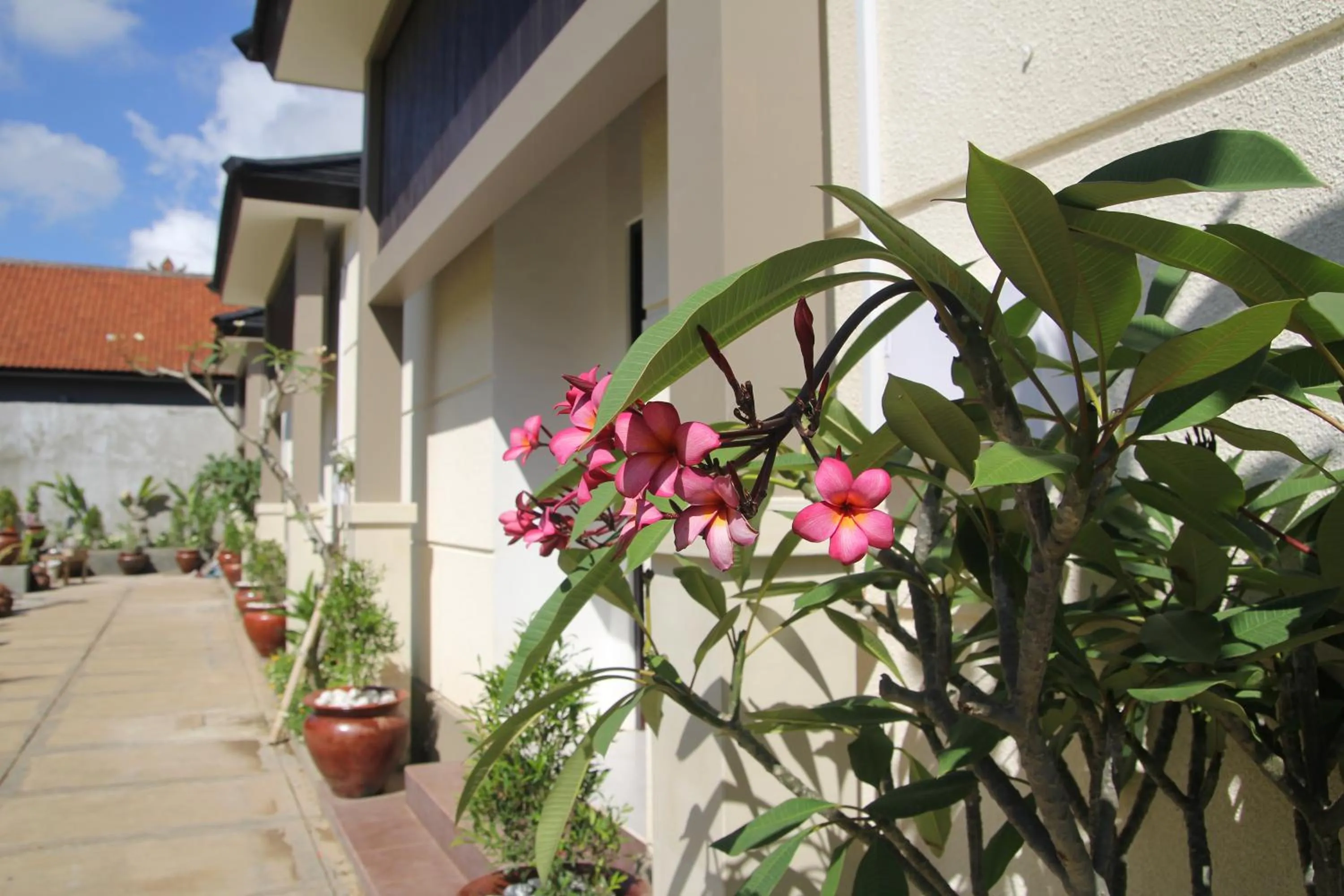 Spring in Muaya Villa