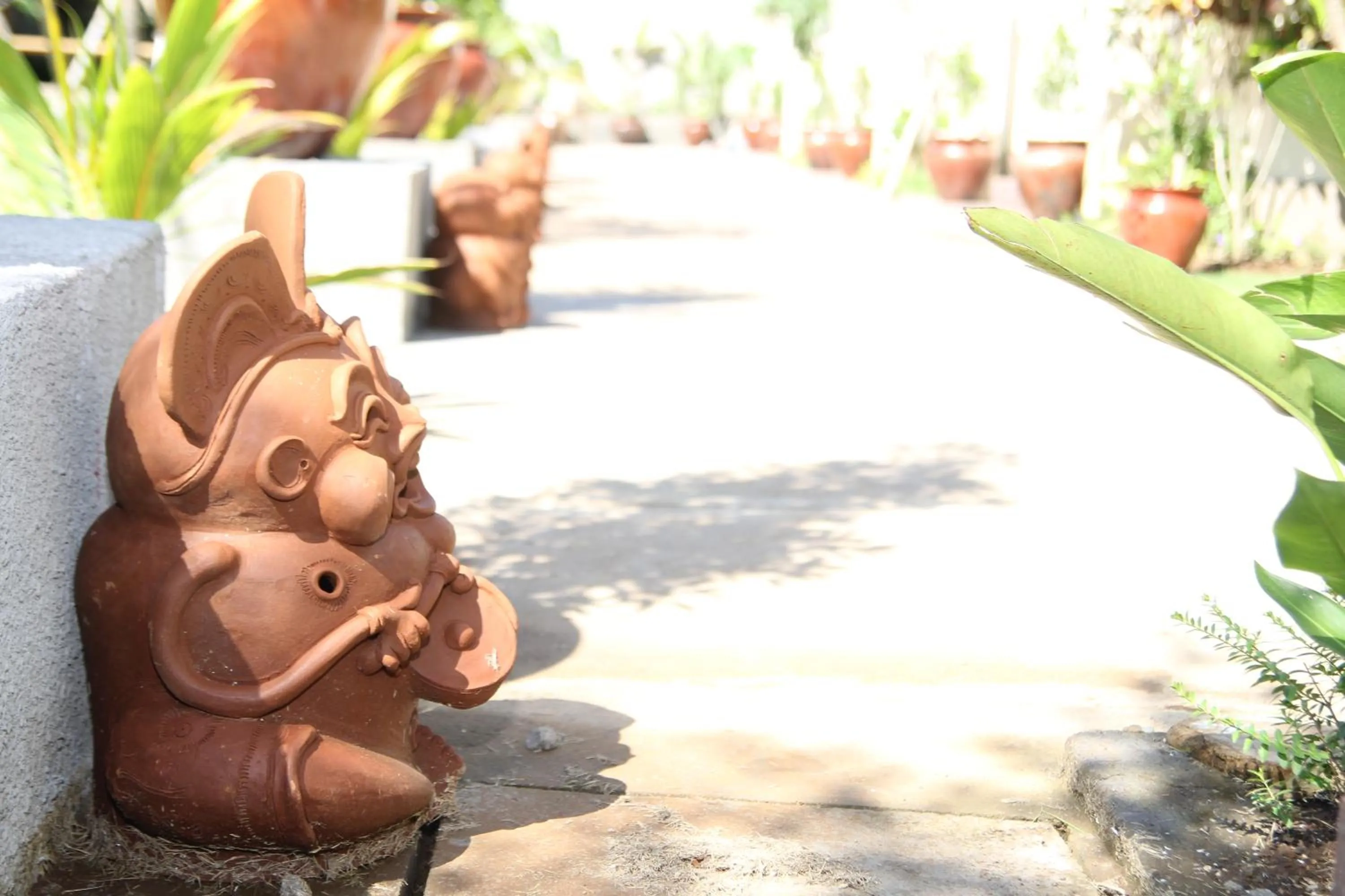 Garden in Muaya Villa