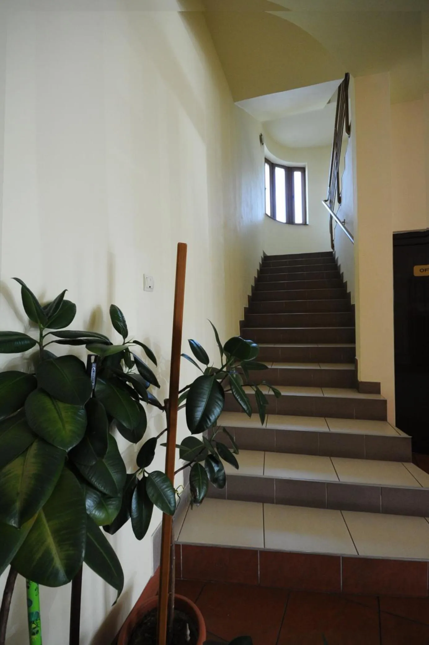 On site in Hotel Everest