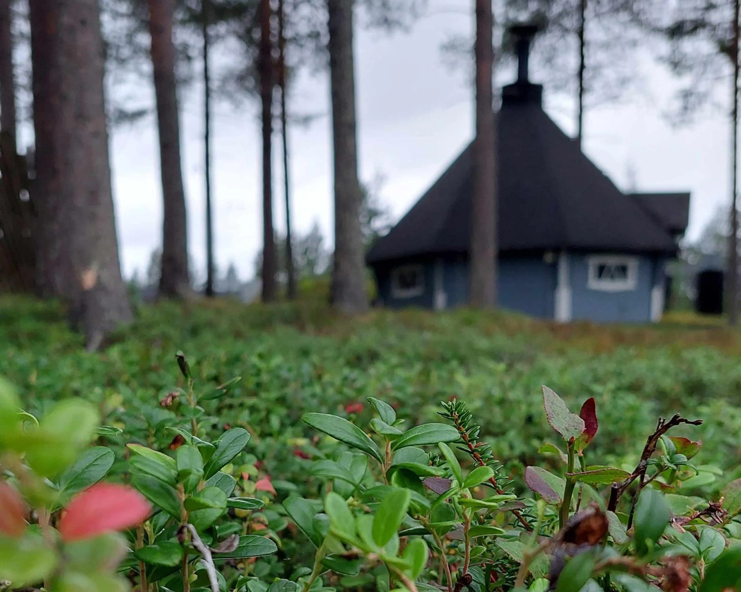 Hotel K5 Levi and K5 Villas