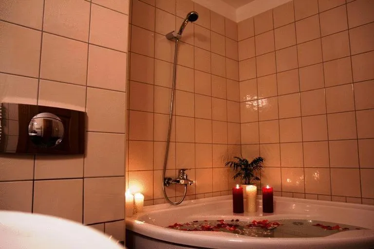 Bathroom in Hotel - Restaurant Gonduzo