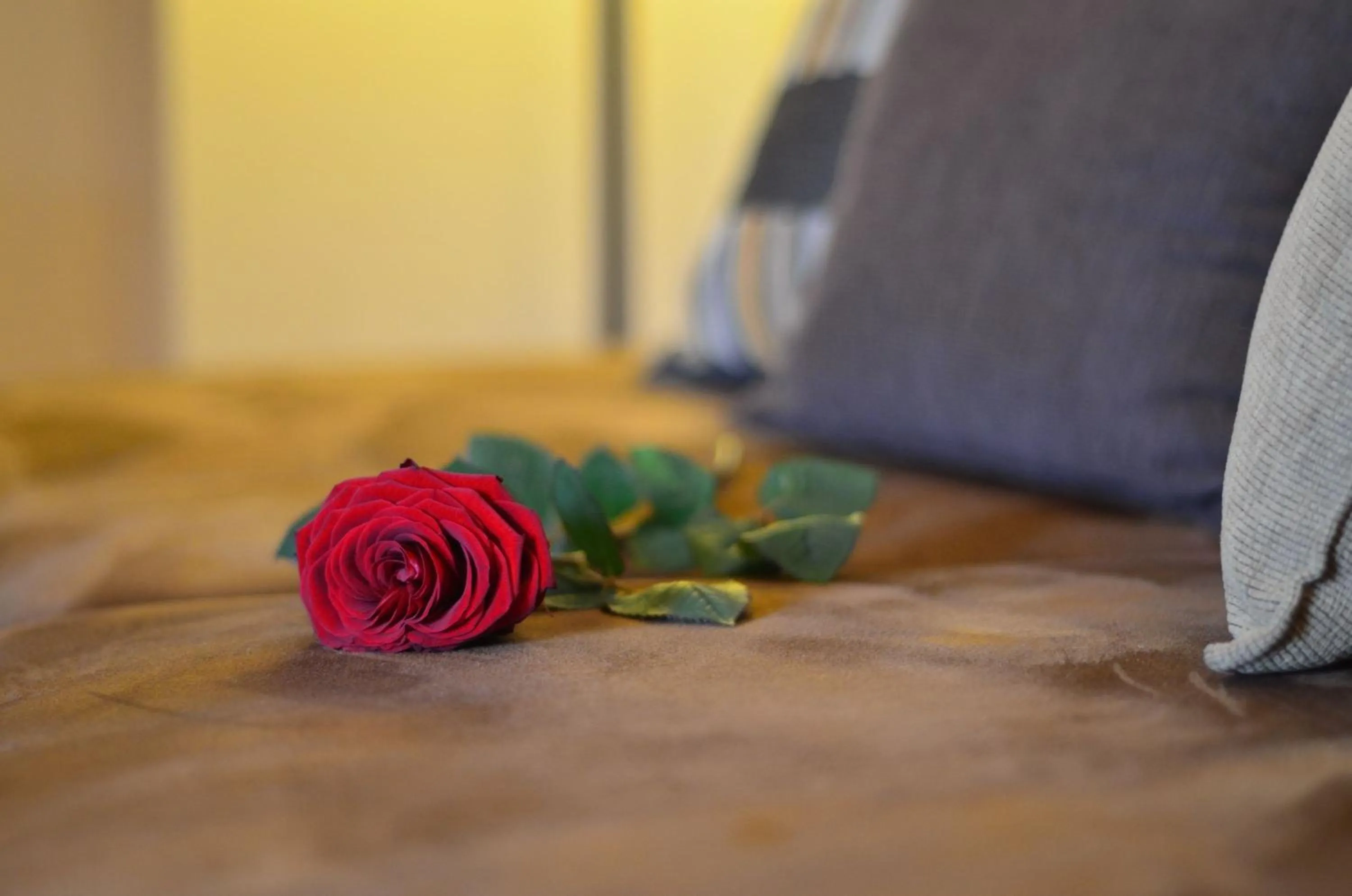 Decorative detail in Hotel - Restaurant Gonduzo