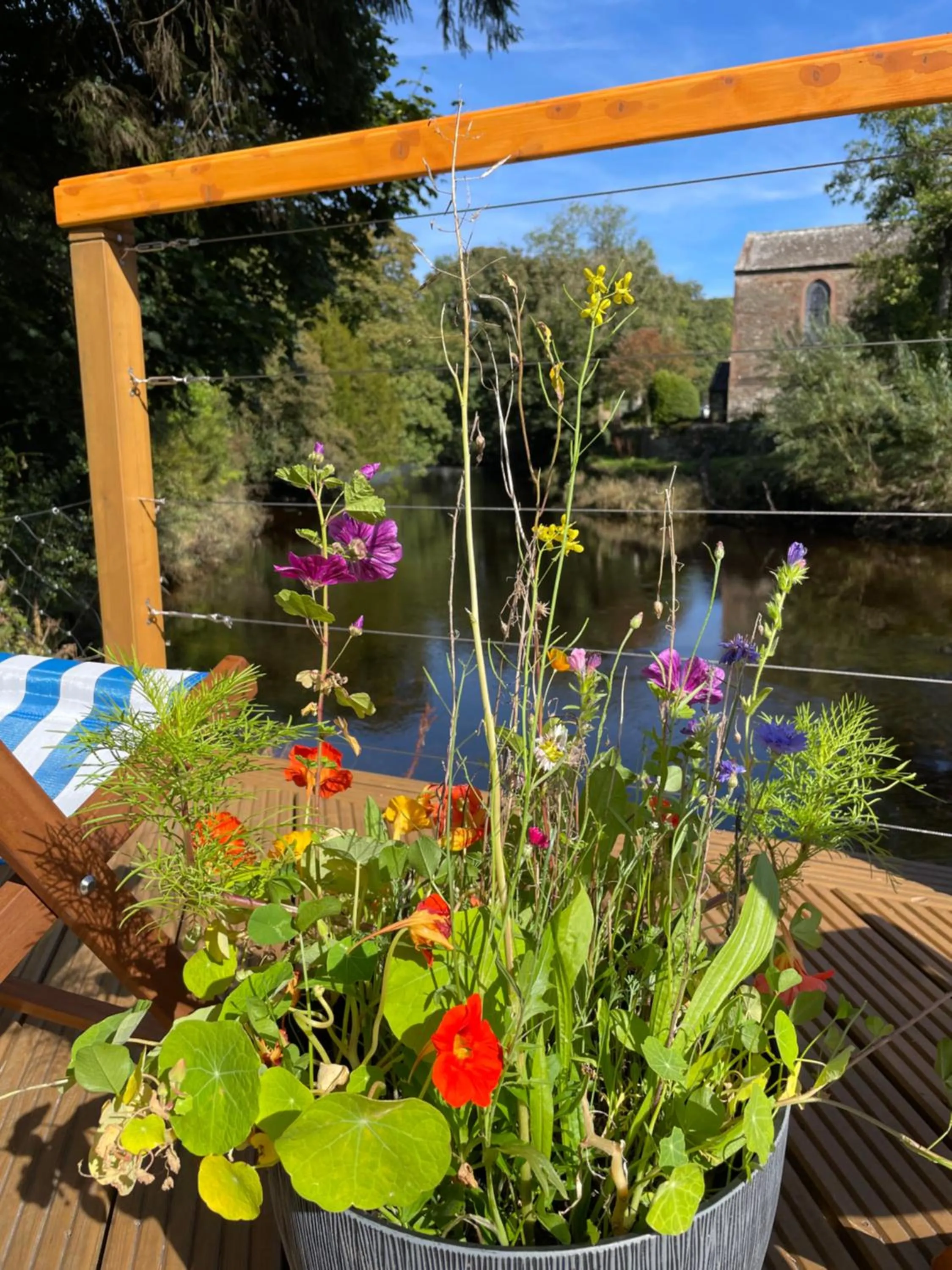 Garden in The Ship Inn - Winner Best Hotel Experience 2024 Visit Scotland