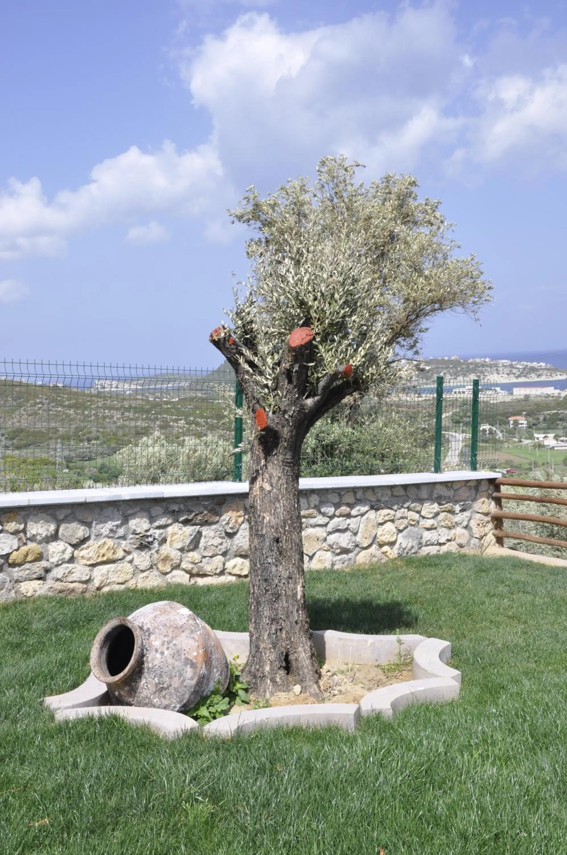 Garden in Taş Avlu Butik Otel
