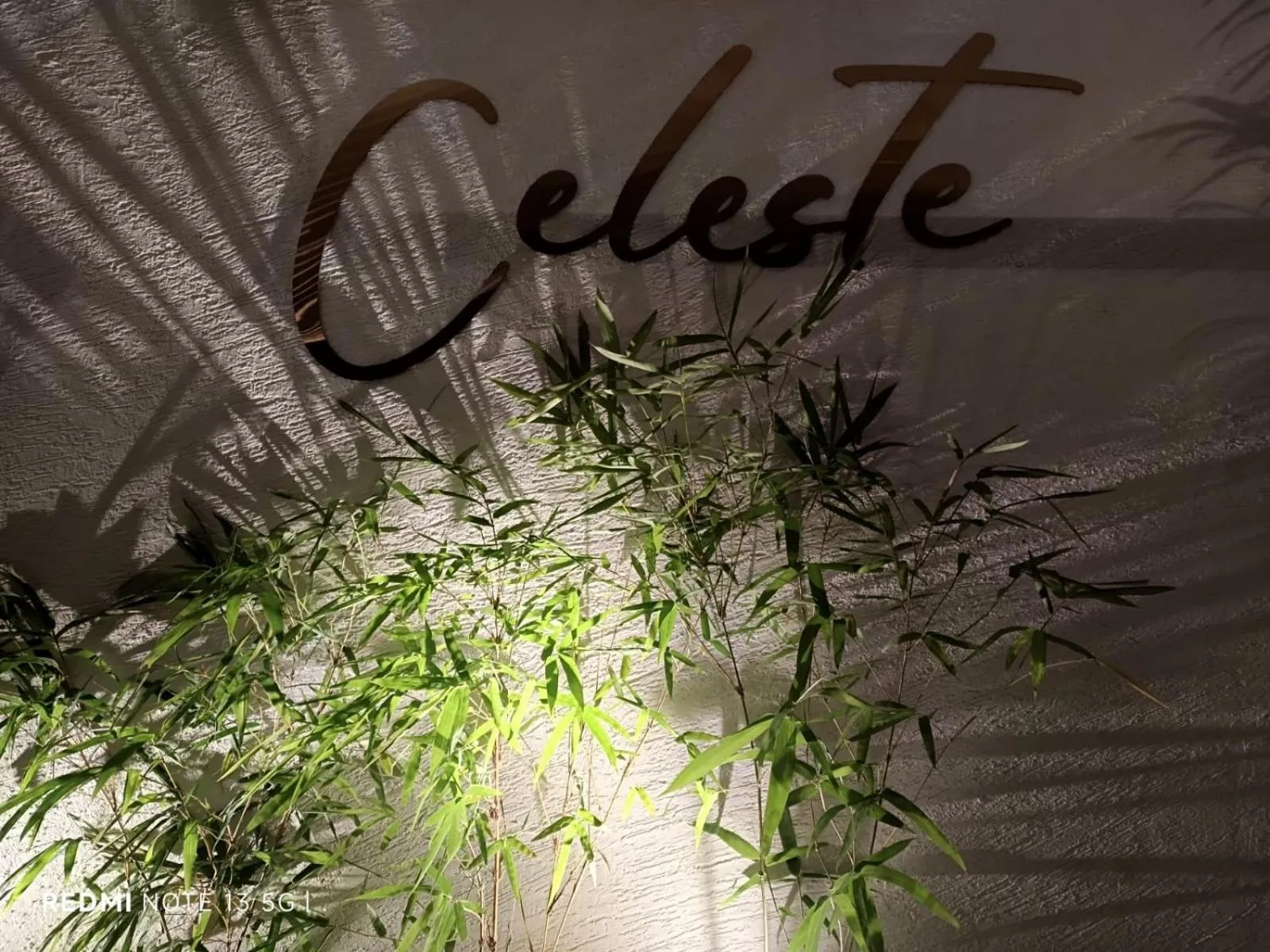 Restaurant/places to eat in Hotel Central Palace