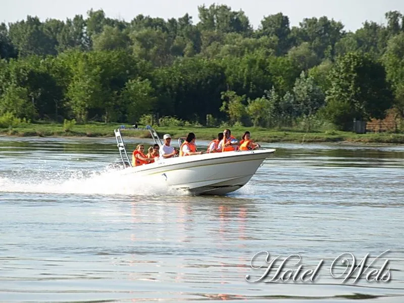 Activities in Hotel Wels