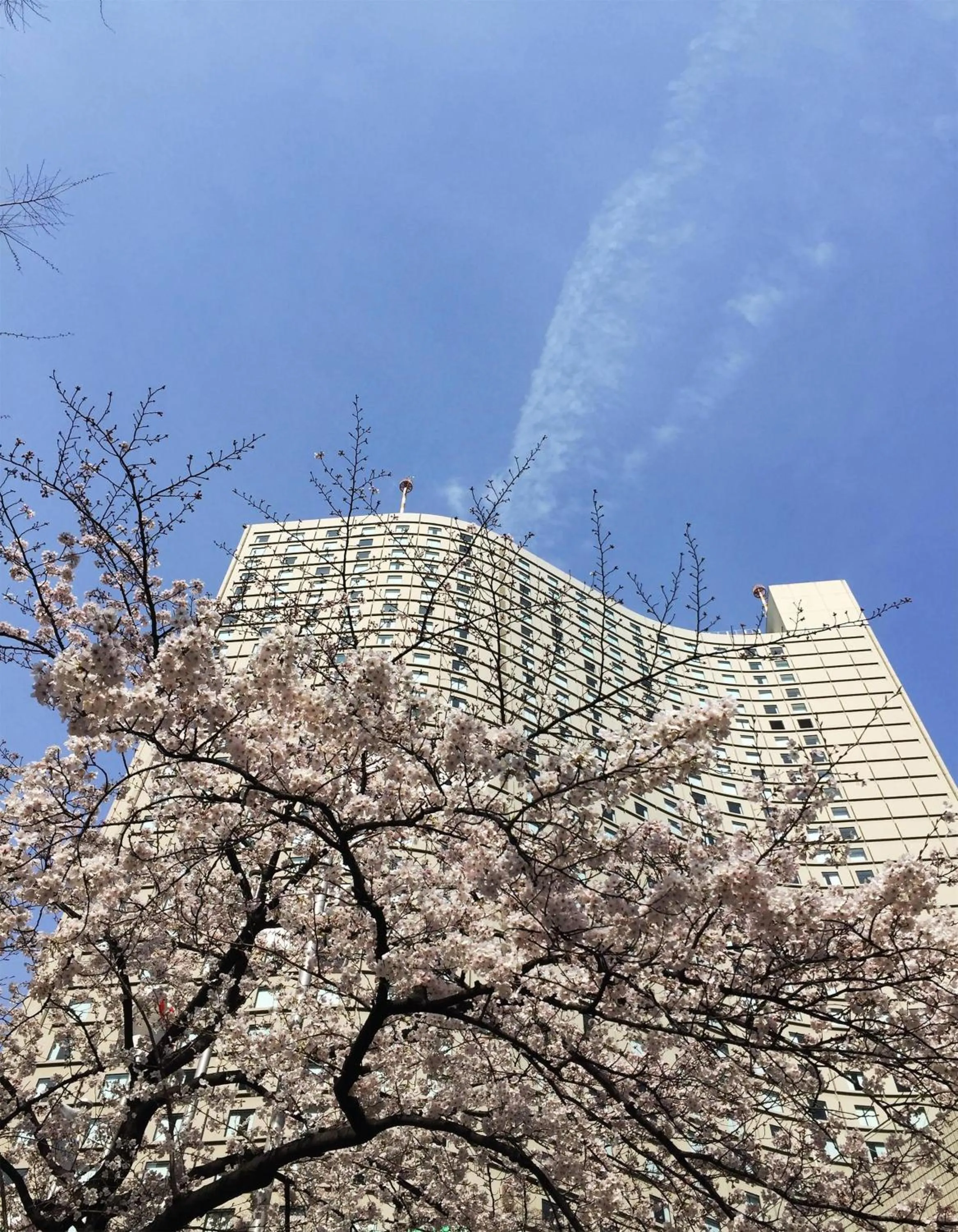 Property building in Hilton Tokyo Hotel