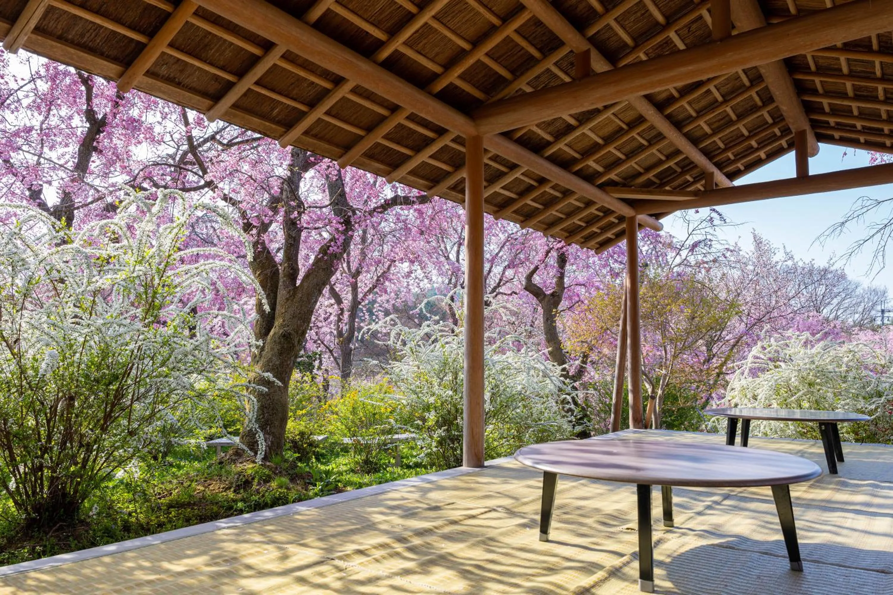 Nearby landmark in Kyoto Brighton Hotel