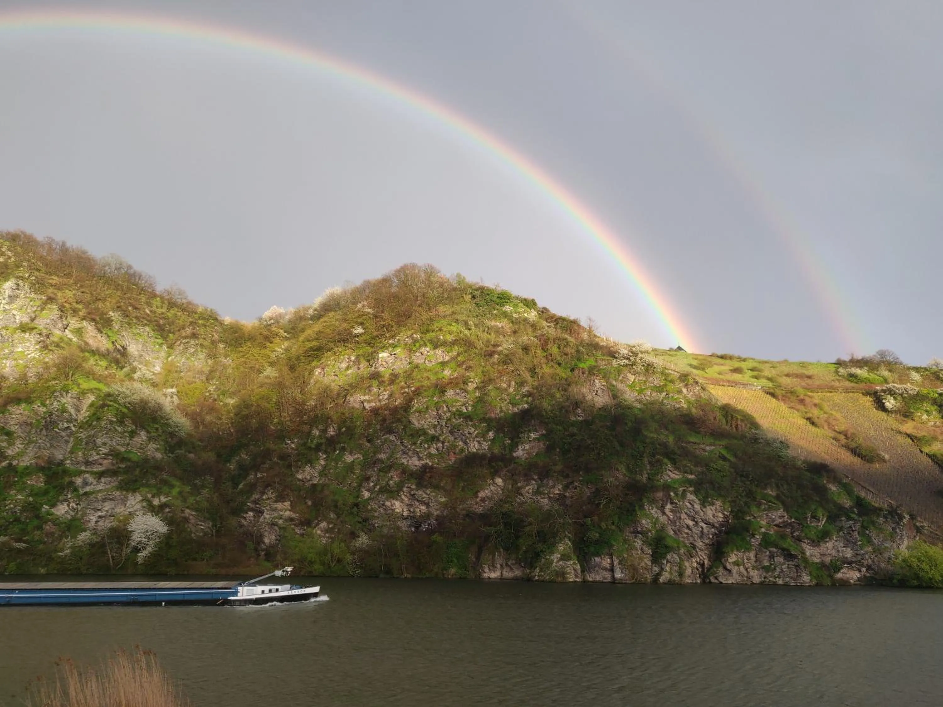 View (from property/room) in Alt Reinsport