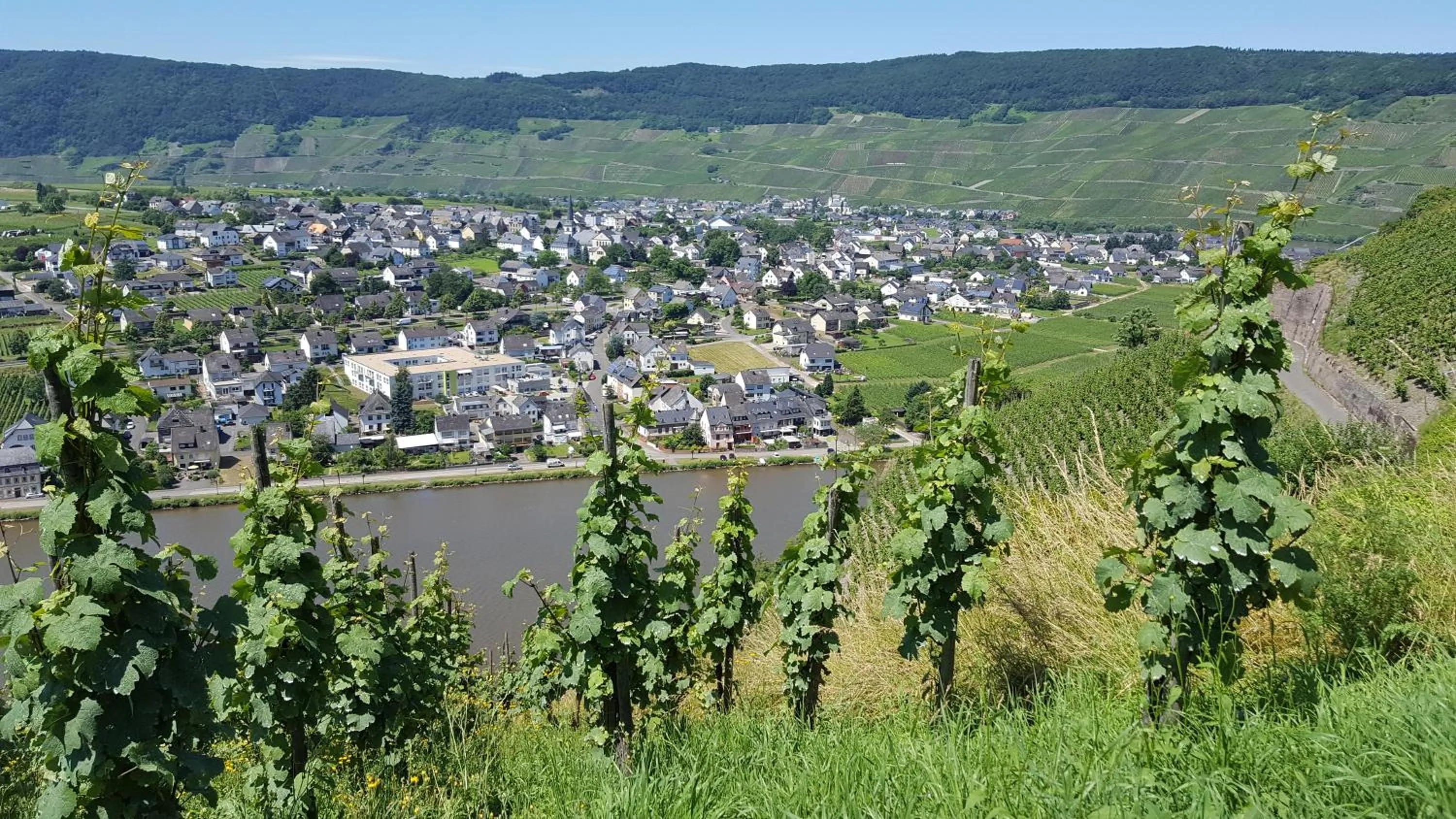 Natural landscape in Alt Reinsport