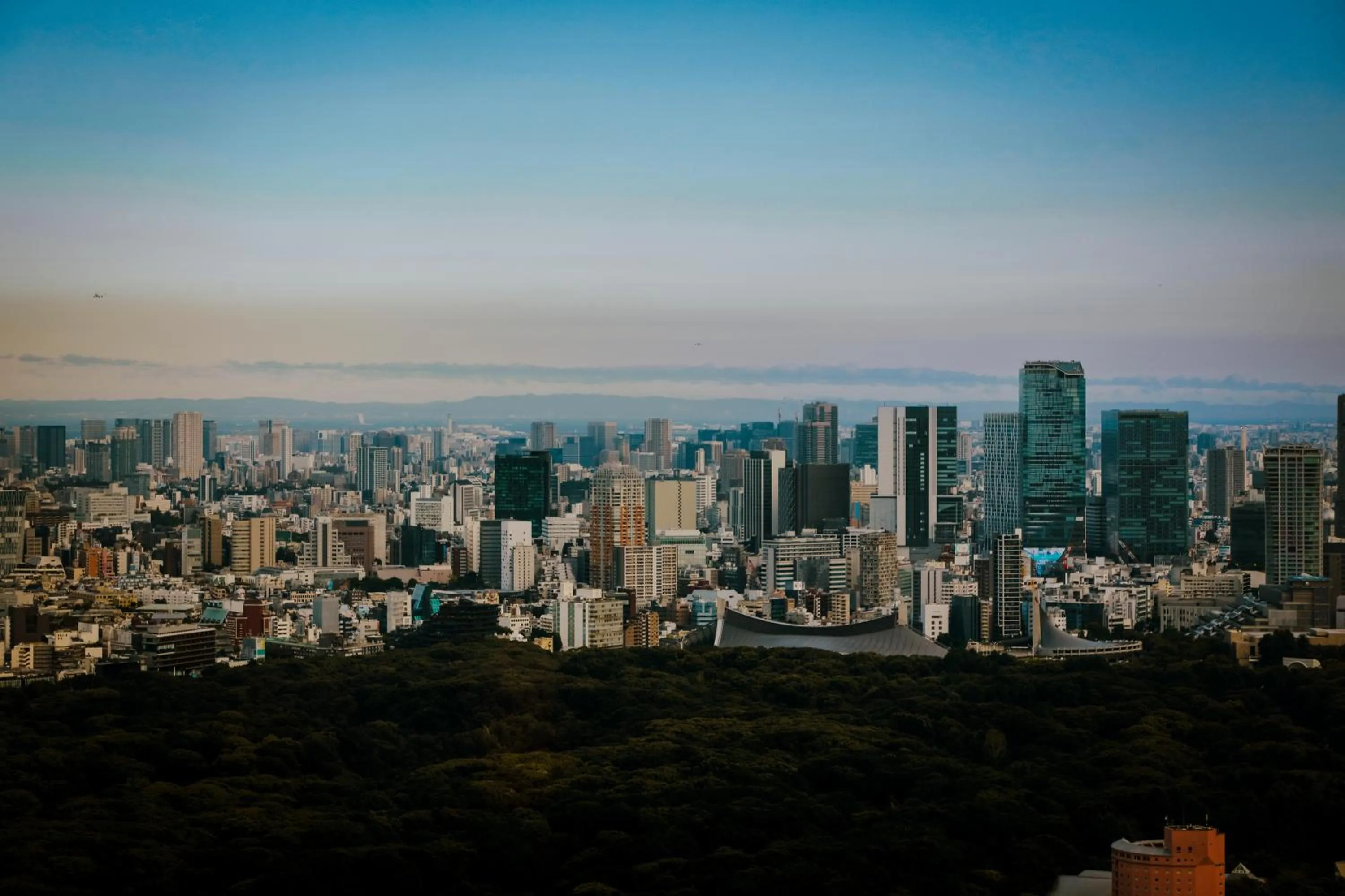 City view in Park Hyatt Tokyo