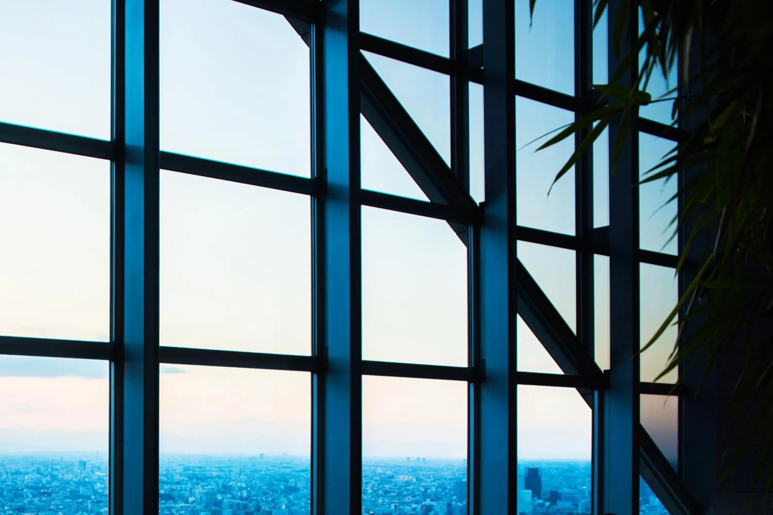 Restaurant/places to eat in Park Hyatt Tokyo