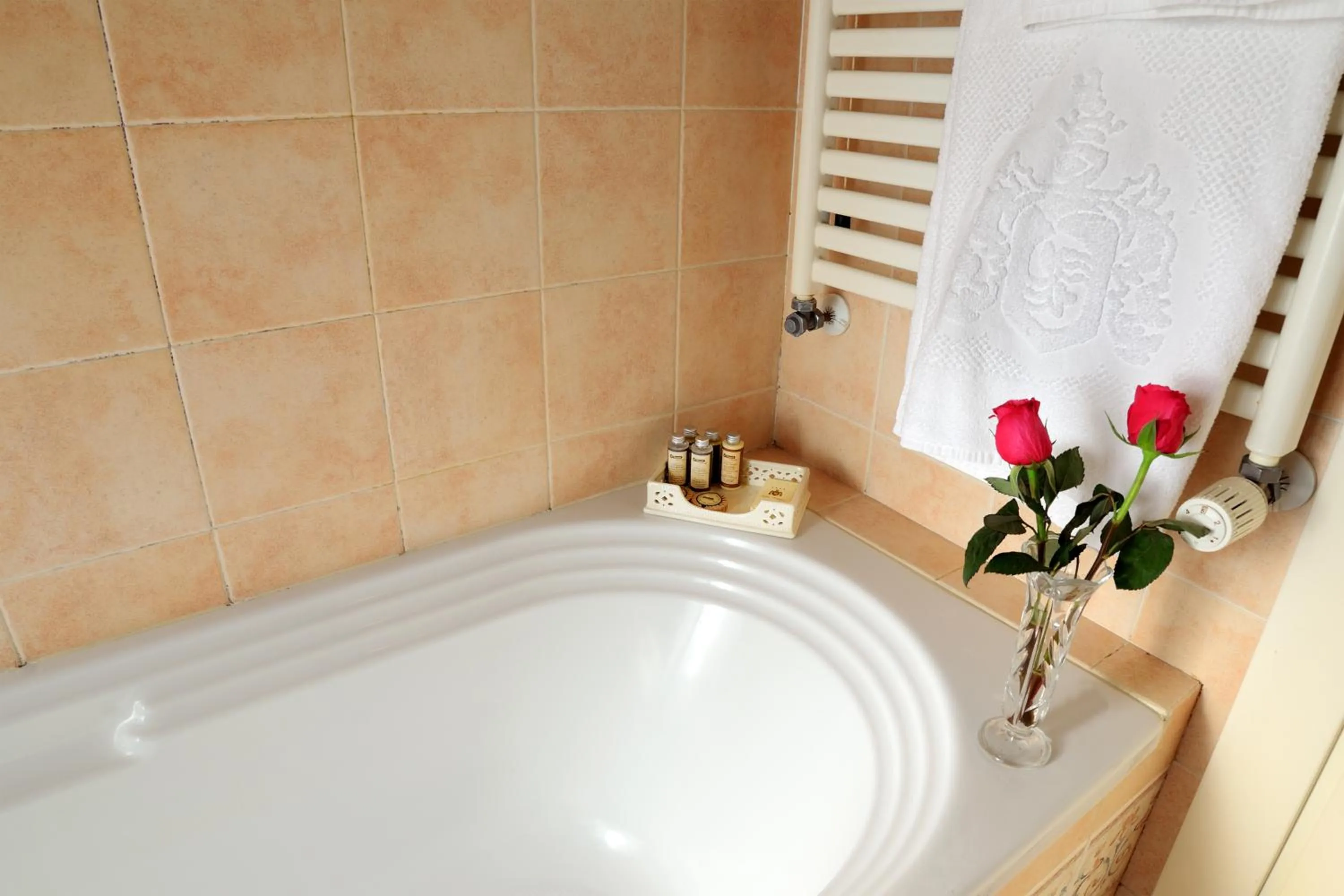 Bathroom in Hotel Villa Luppis