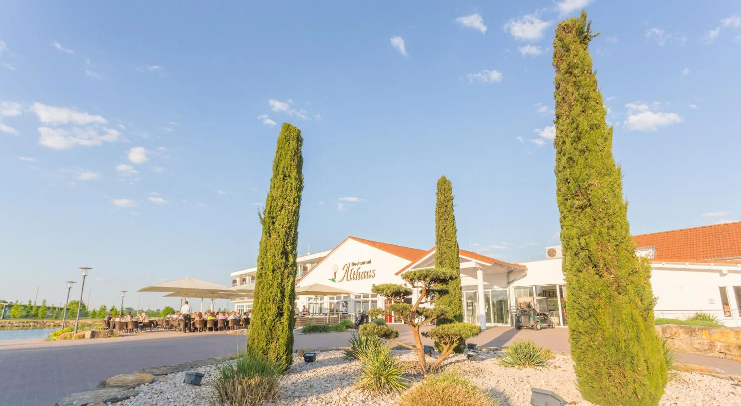 Restaurant/places to eat in Hotel absolute