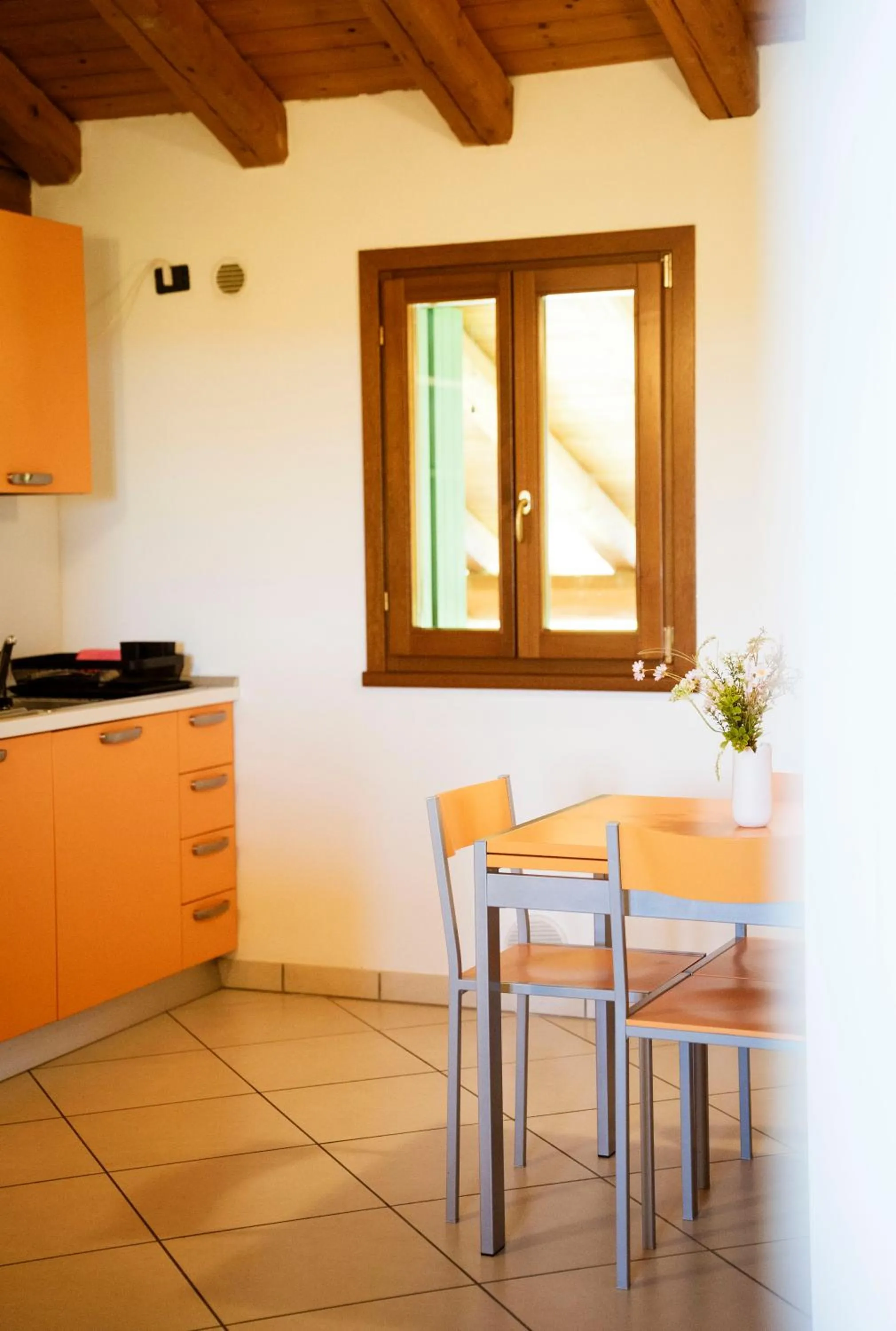 Kitchen or kitchenette in Tenuta Aganis