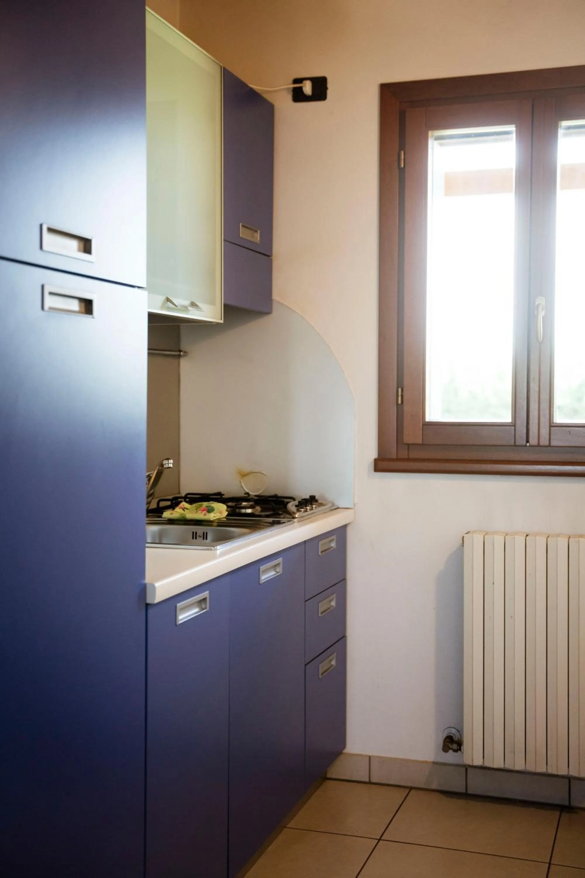 Kitchen or kitchenette in Tenuta Aganis