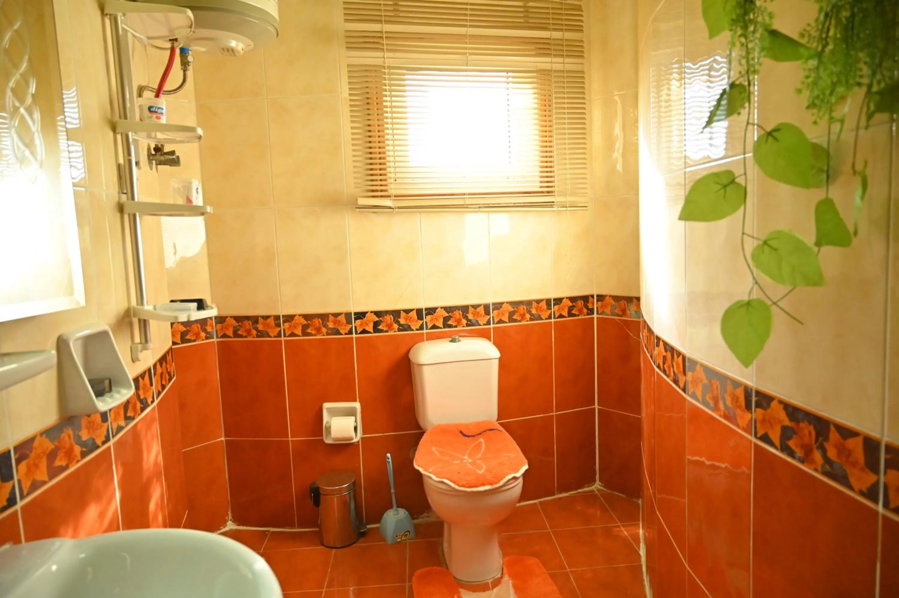Bathroom in Fayoum Hotel
