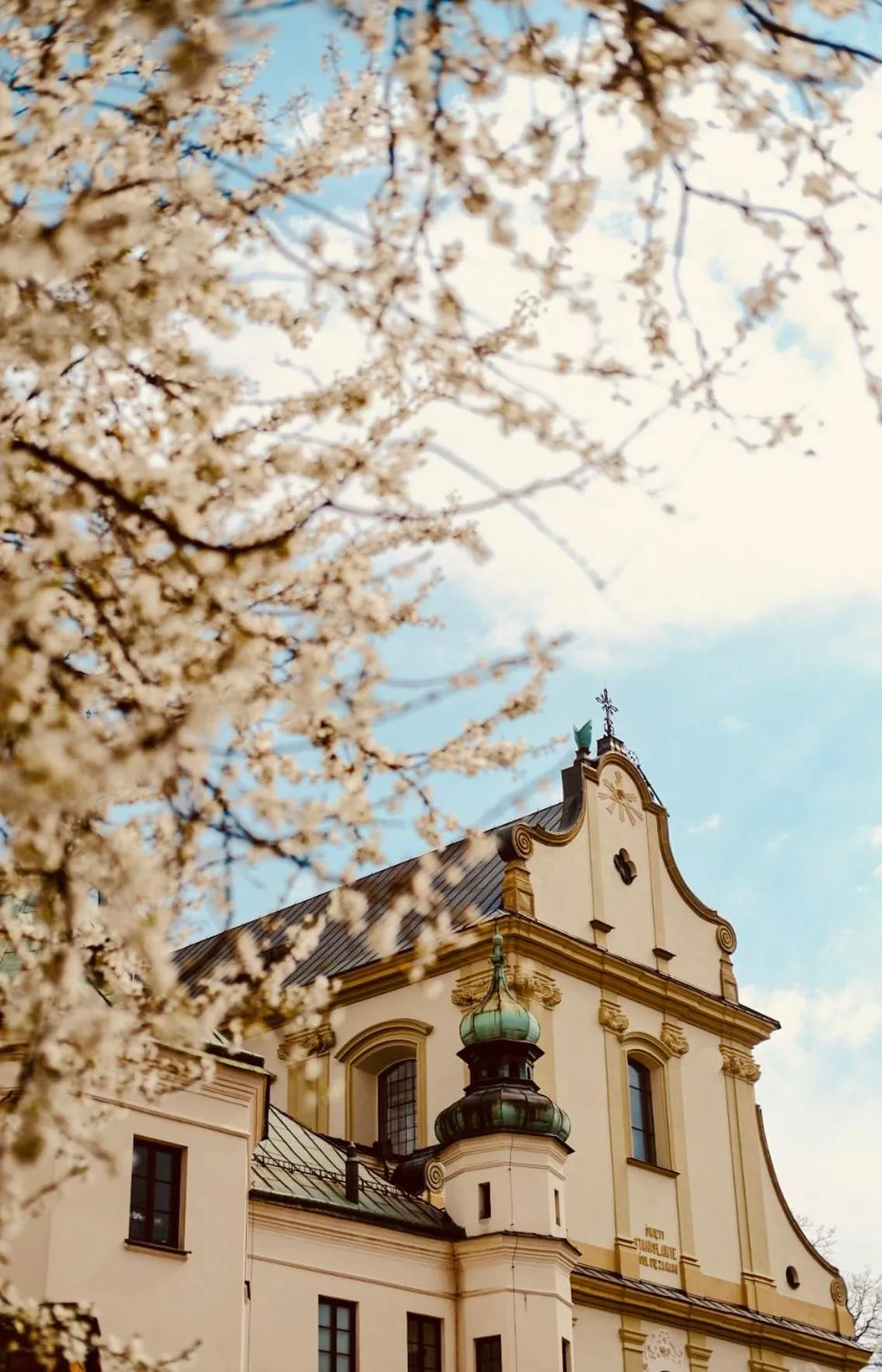 Spring in Well Well Aparthotel