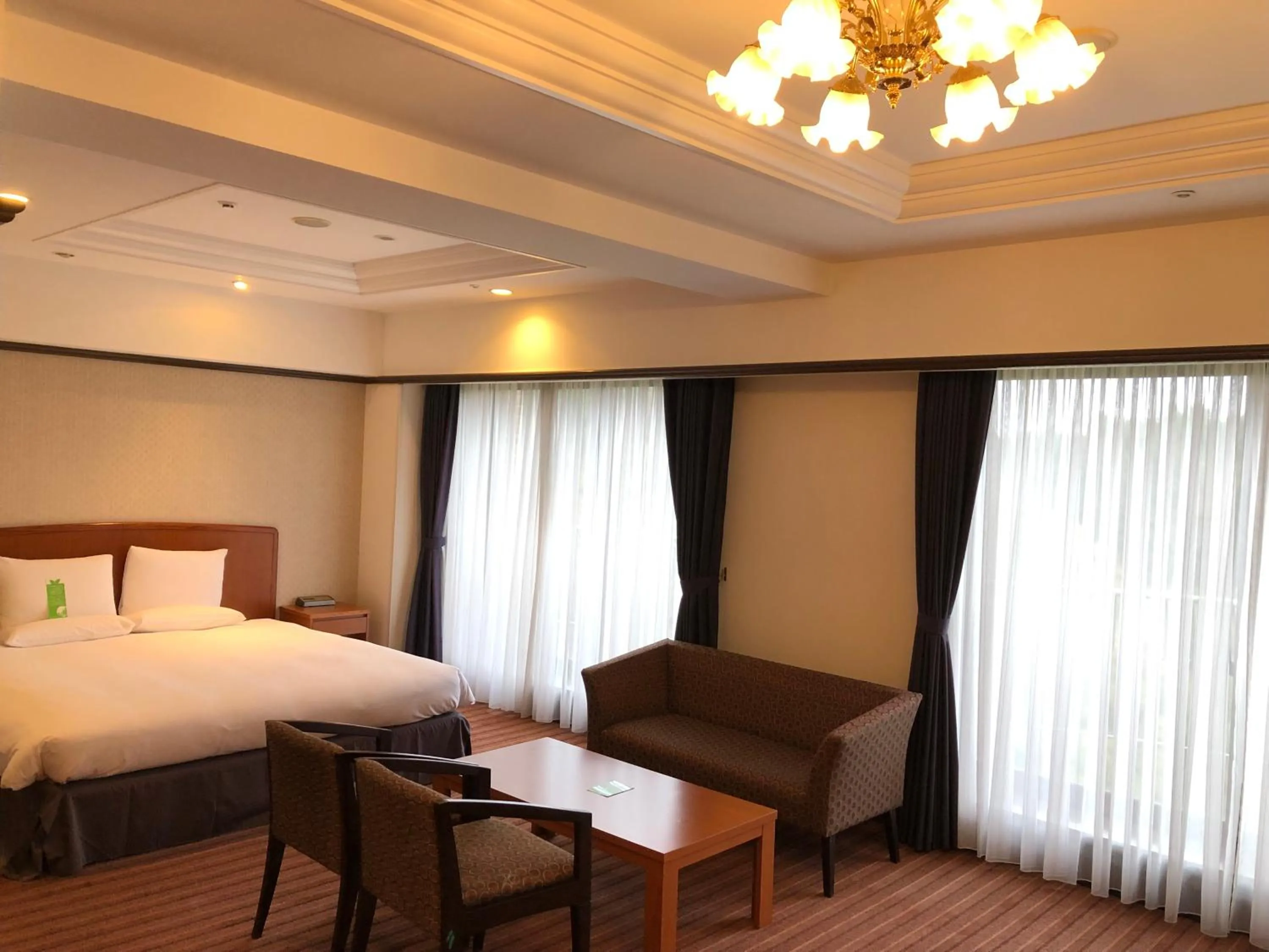 Photo of the whole room, Bed in International Garden Hotel Narita