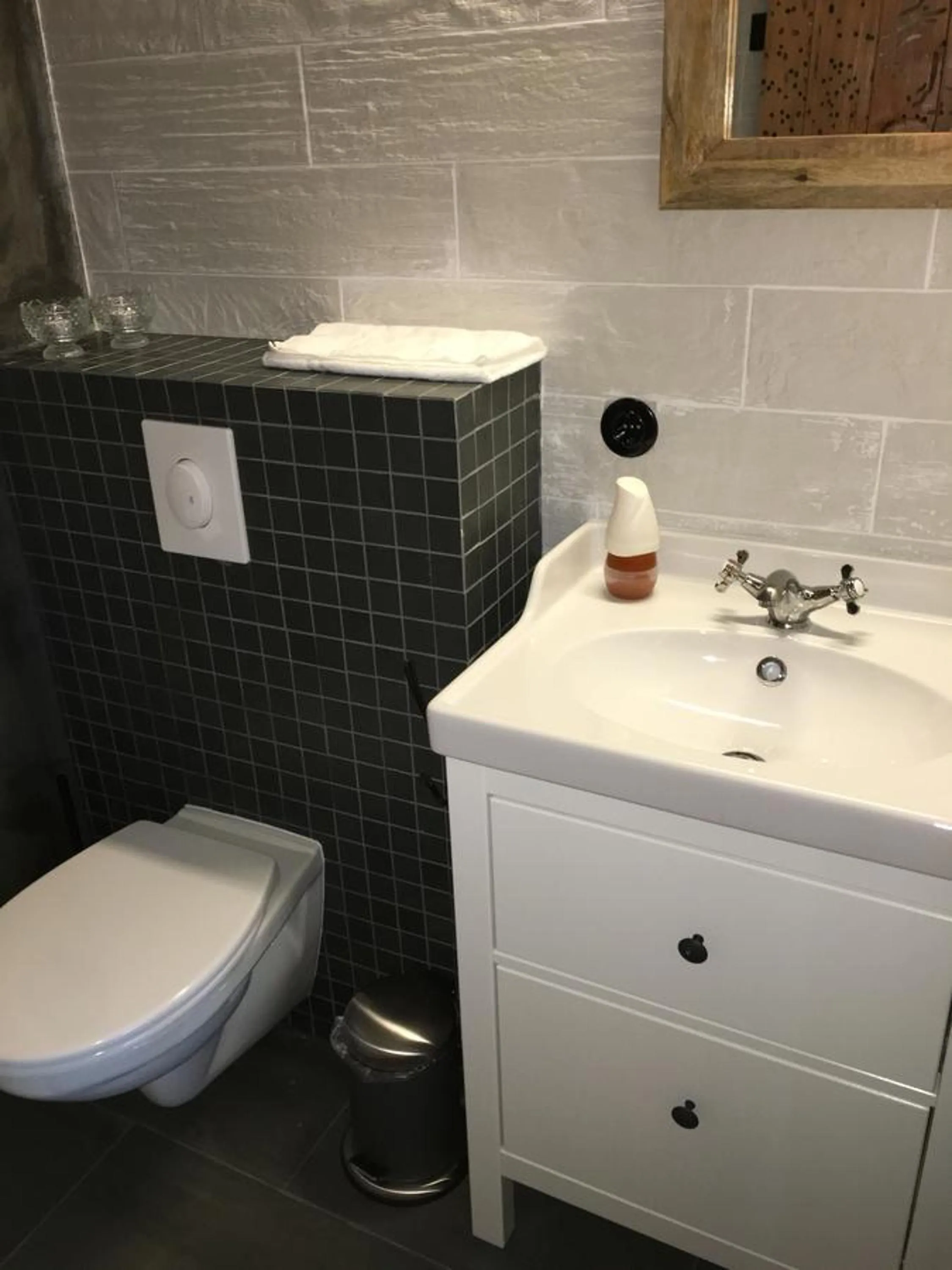 Toilet in The Garage