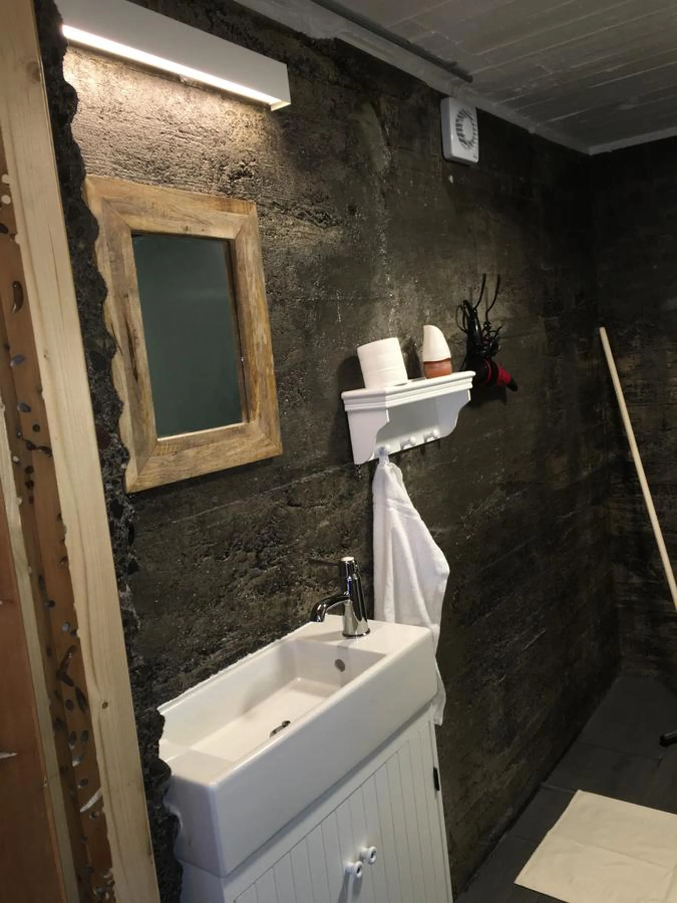 Toilet in The Garage