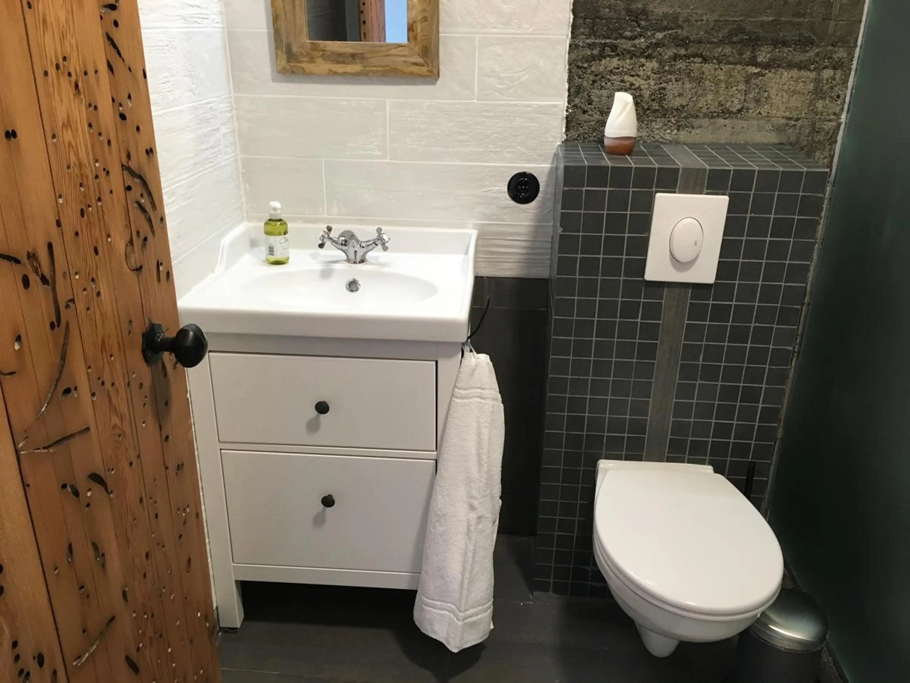 Toilet in The Garage