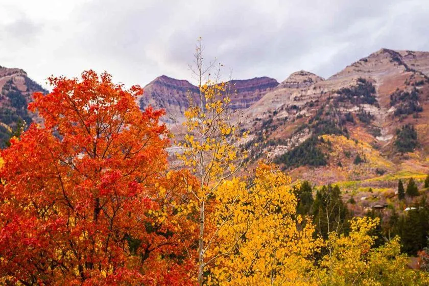 Mountain view in Cottage On The Stream Sundance, Utah