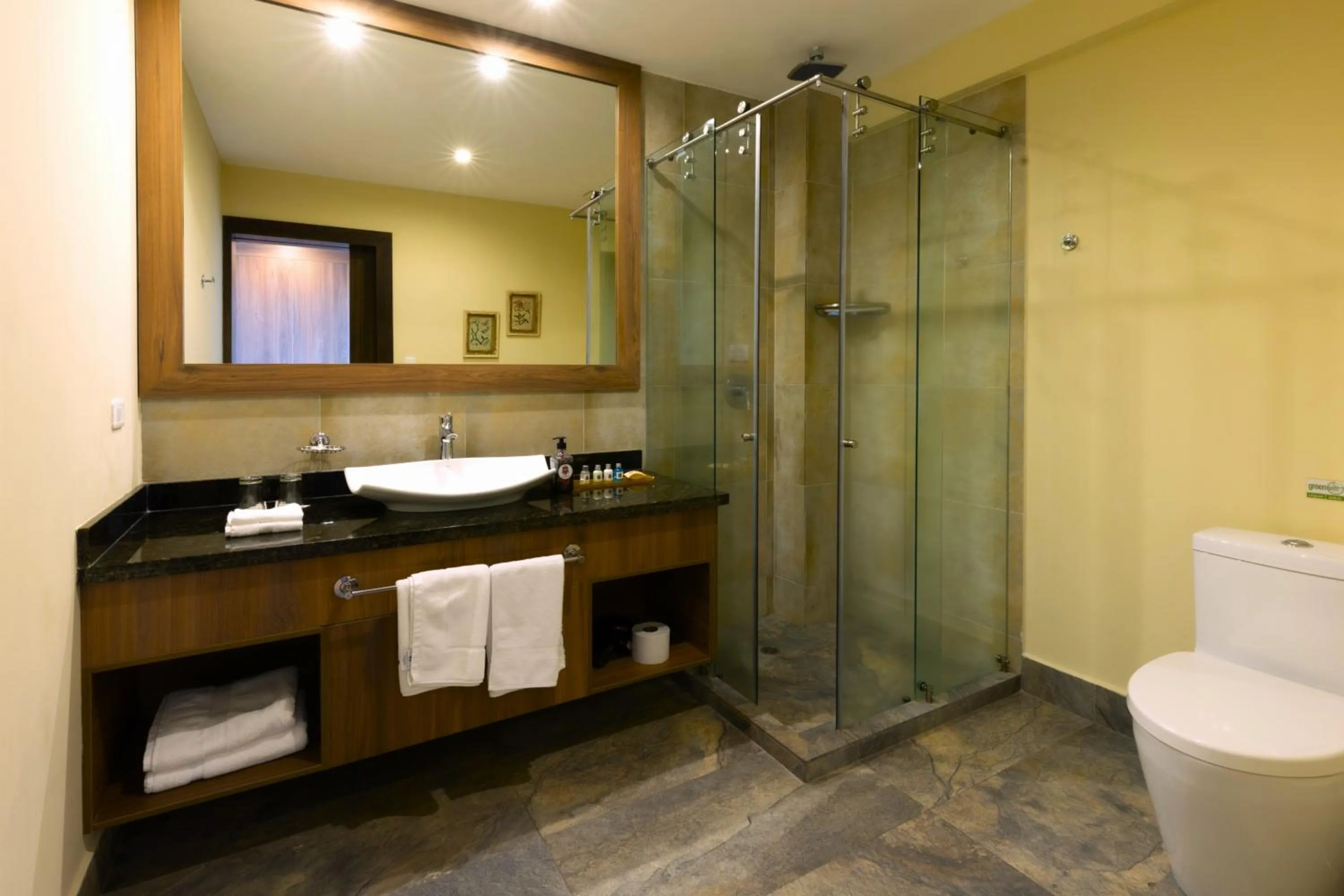 Shower in Hotel Medina Del Lago