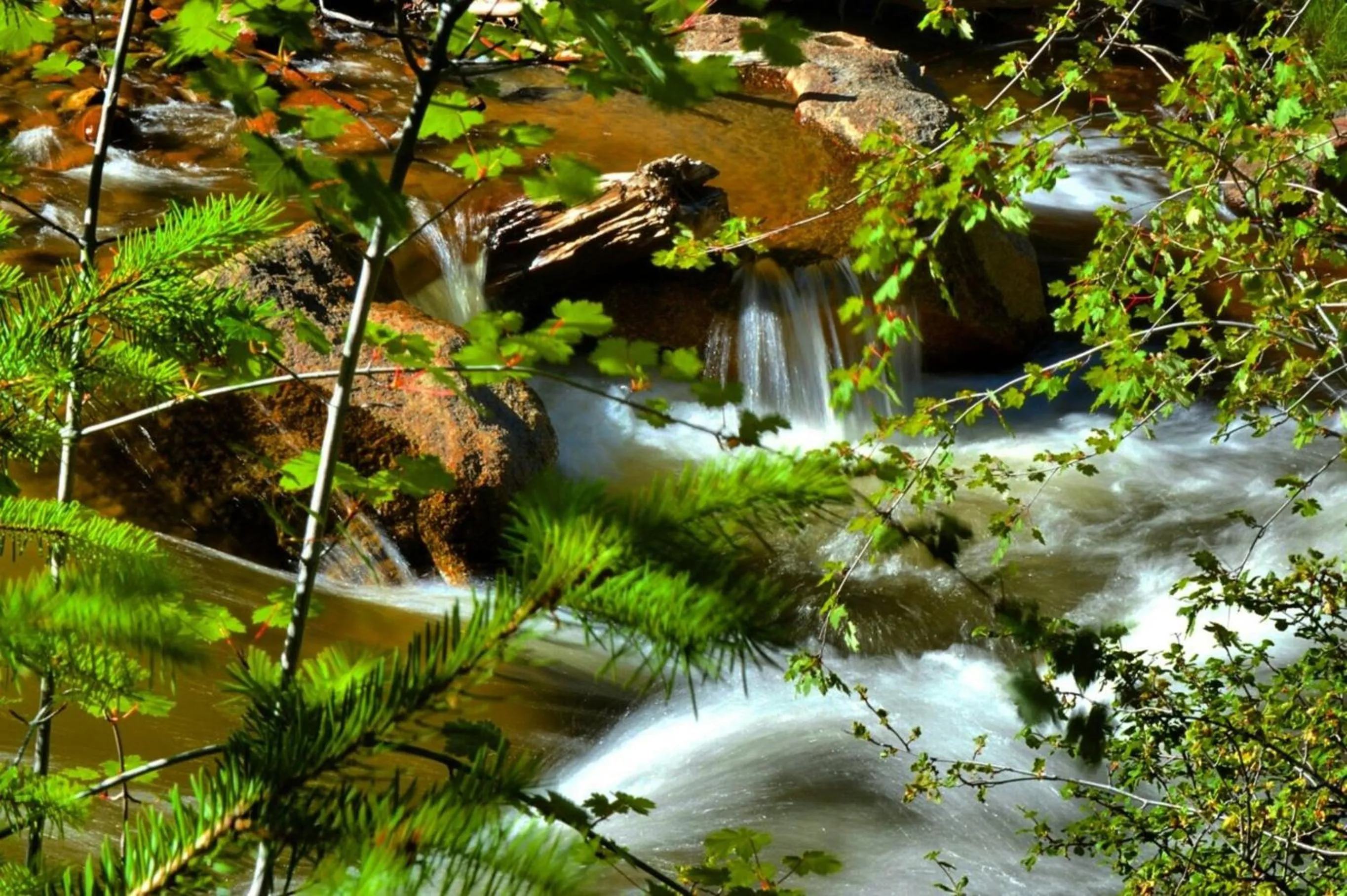 The Inn on Fall River & Fall River Cabins