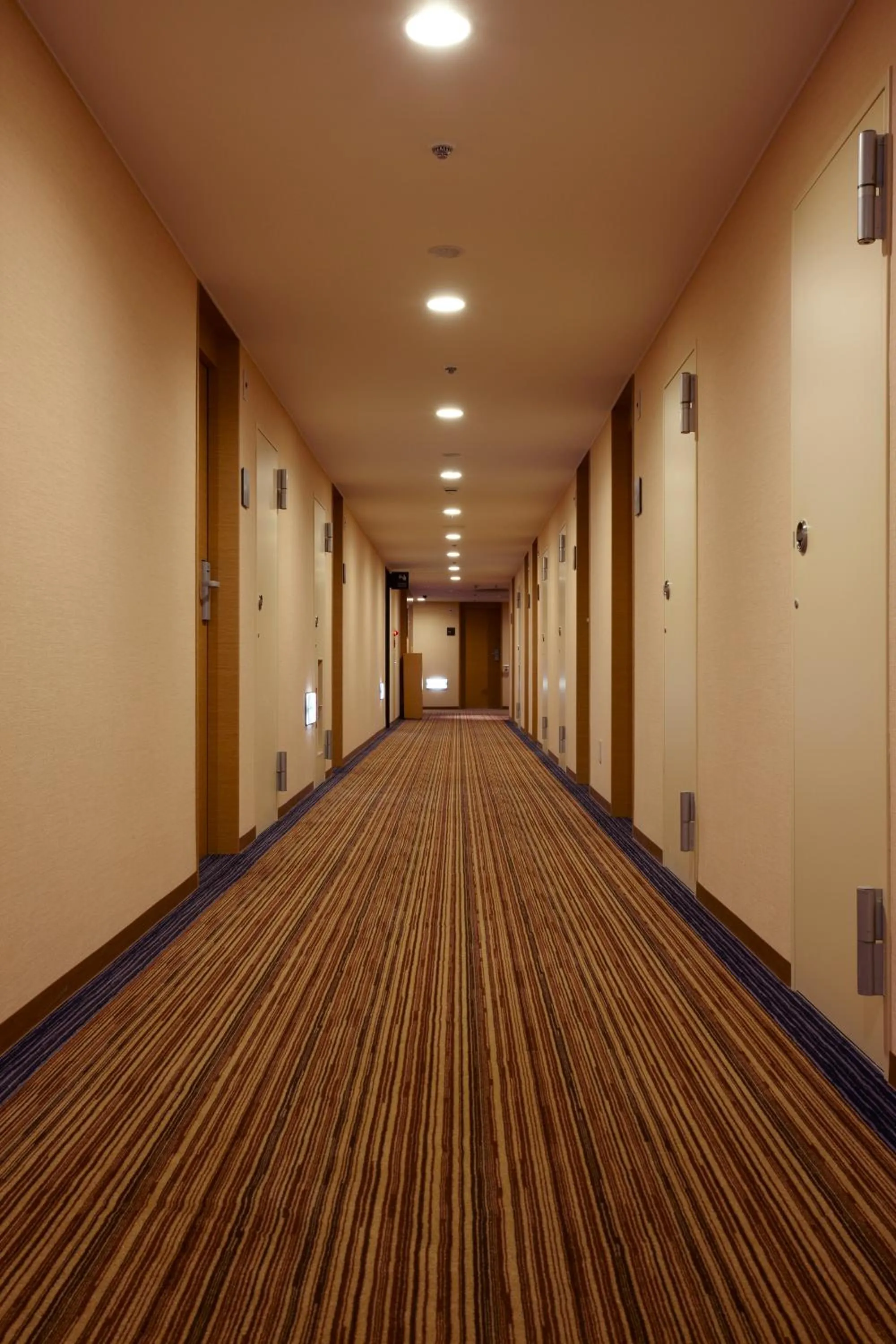 Other in the b ikebukuro