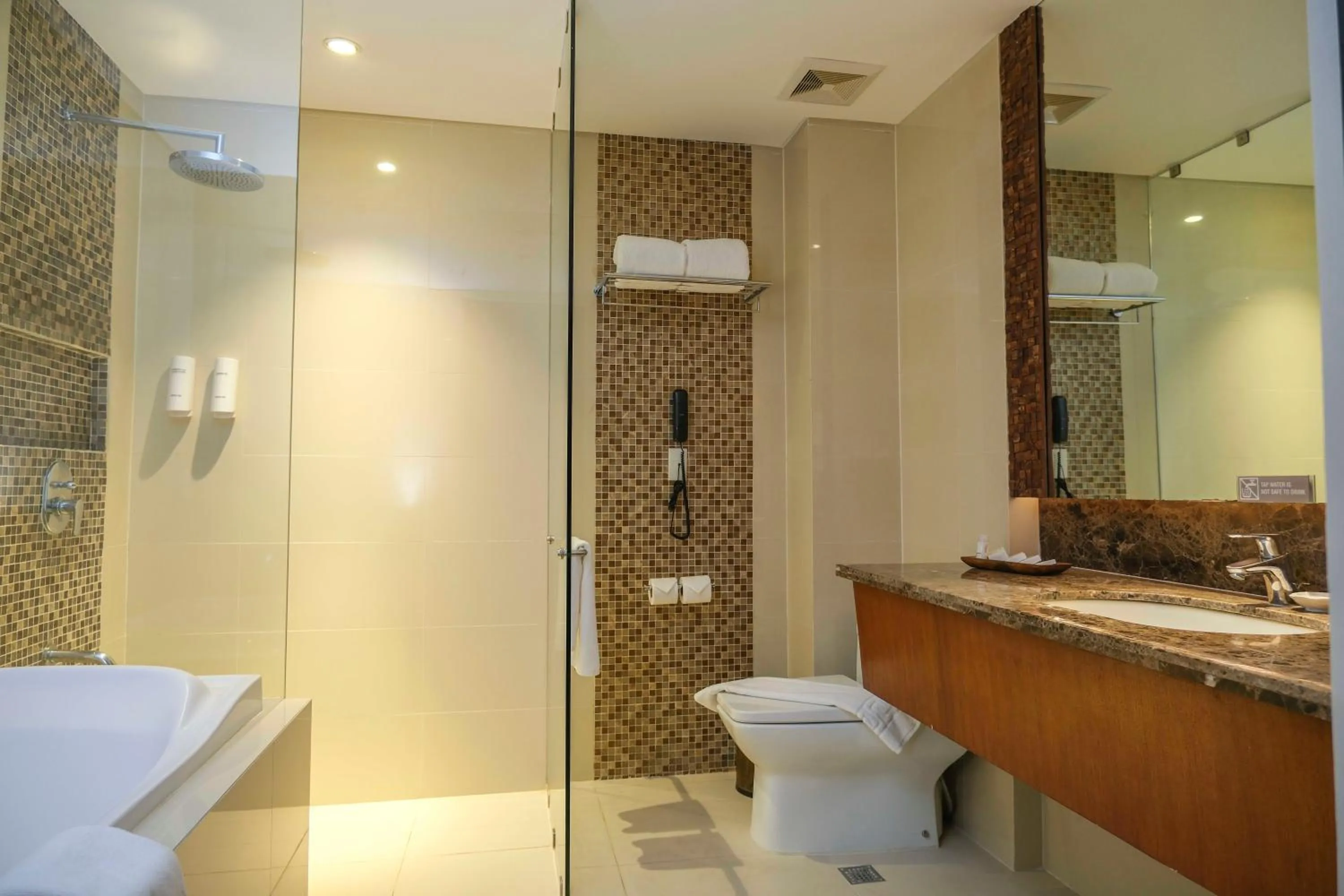 Bathroom in Best Western Plus The Ivywall Hotel - Palawan