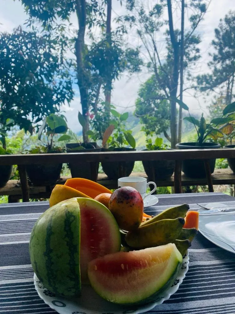 Food and drinks in Hidden Gem Inn