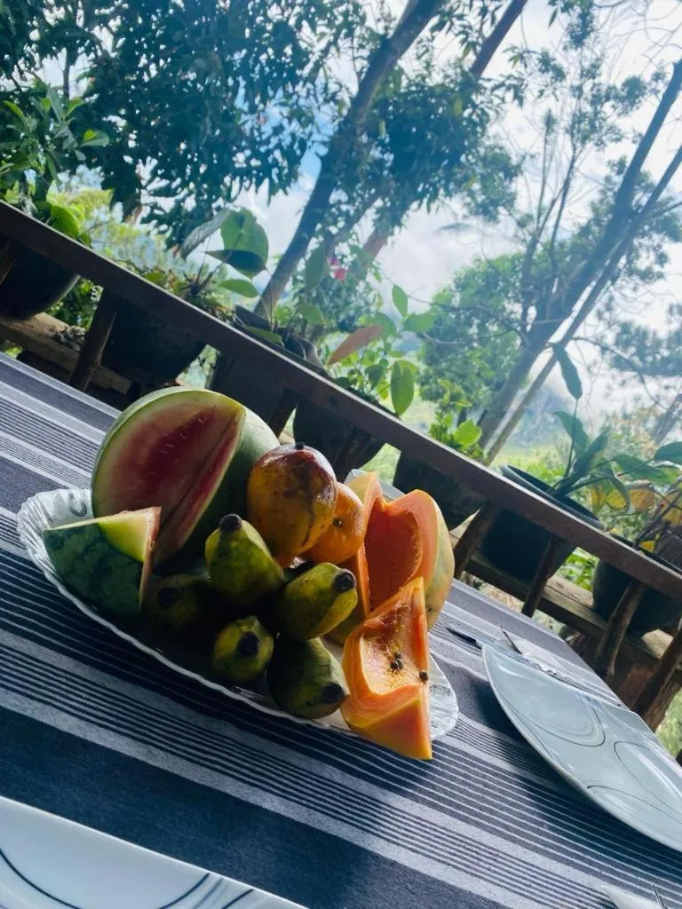 Food and drinks in Hidden Gem Inn