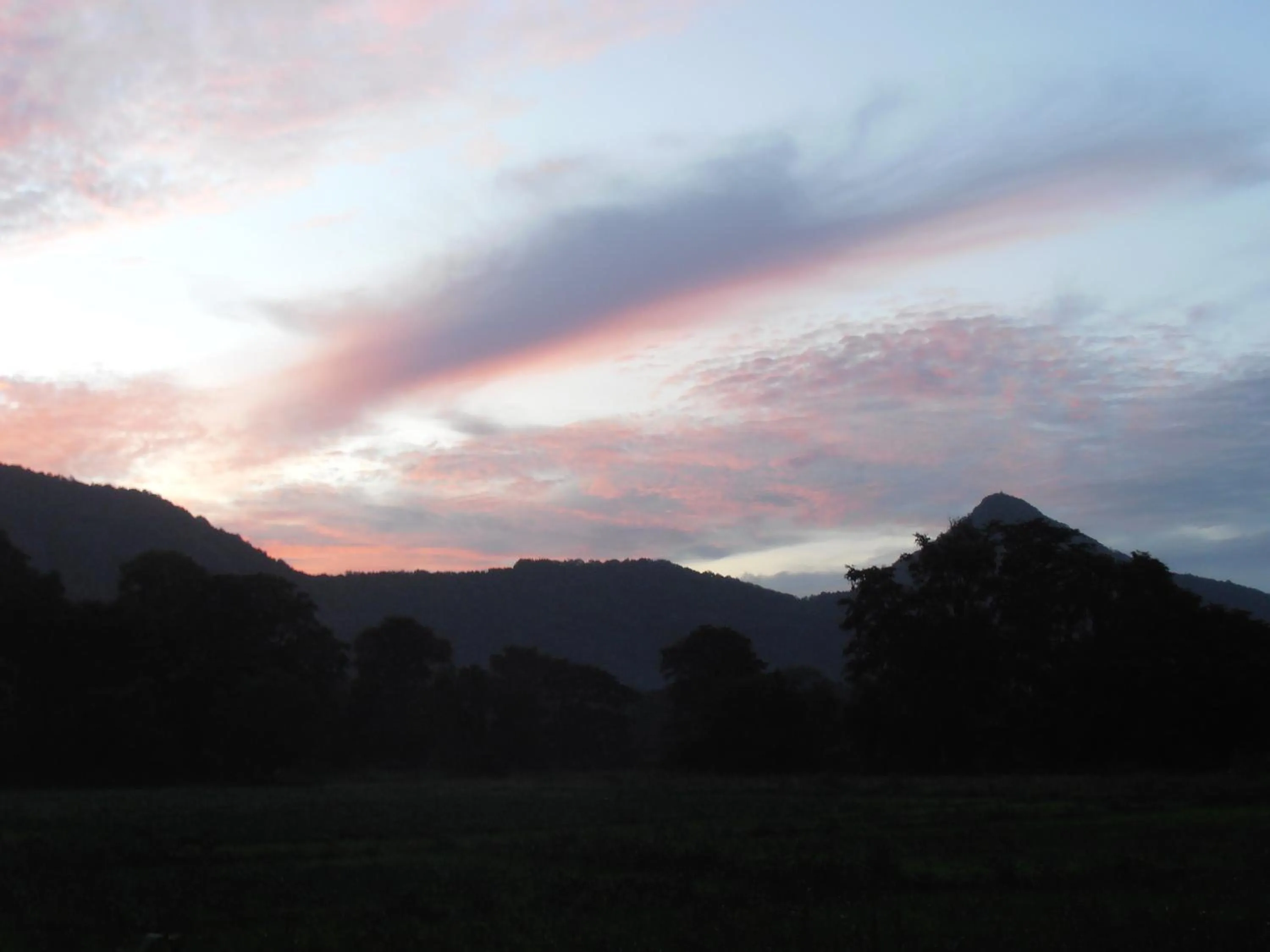 Other in Hidden Gem Inn