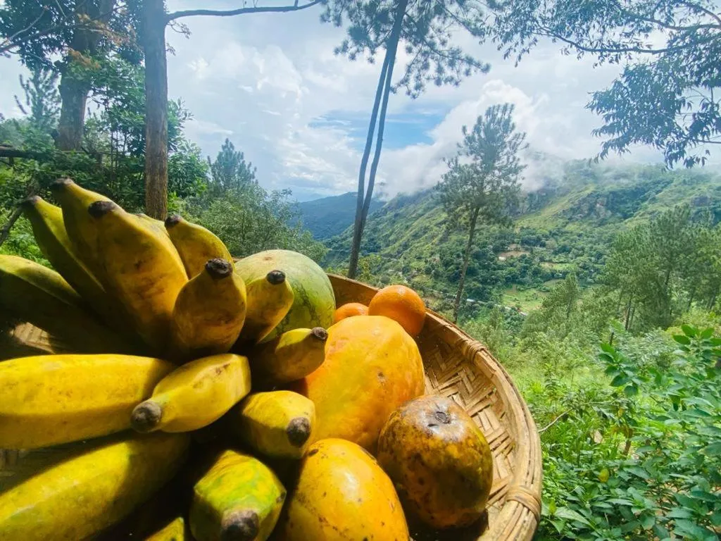 Natural landscape in Hidden Gem Inn