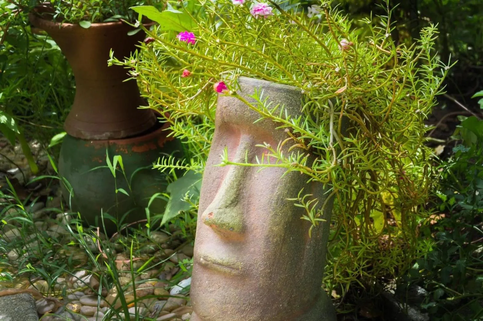 Garden in Namphung Phuket Boutique Resort