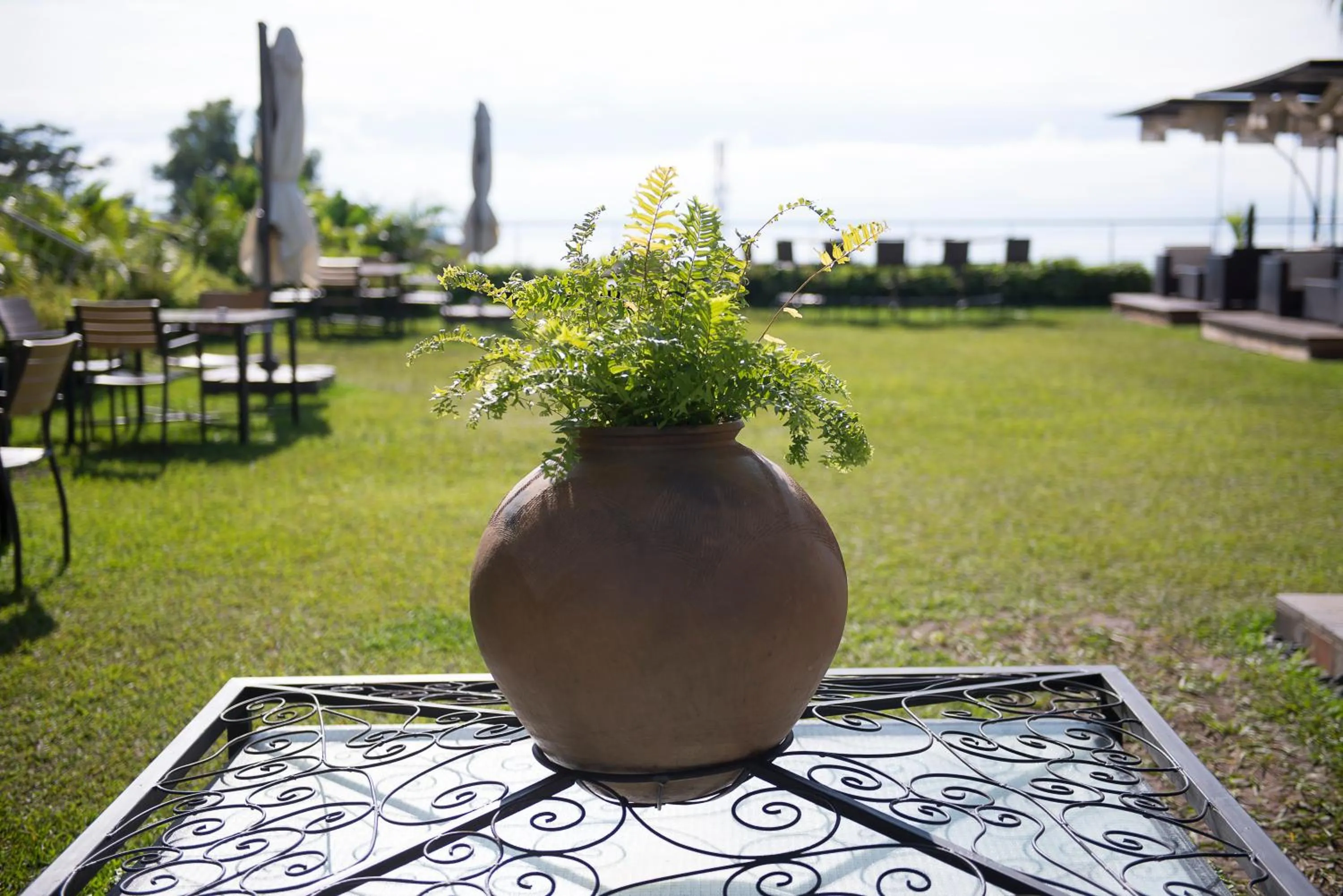 Garden view in Kiriri Garden Hotel
