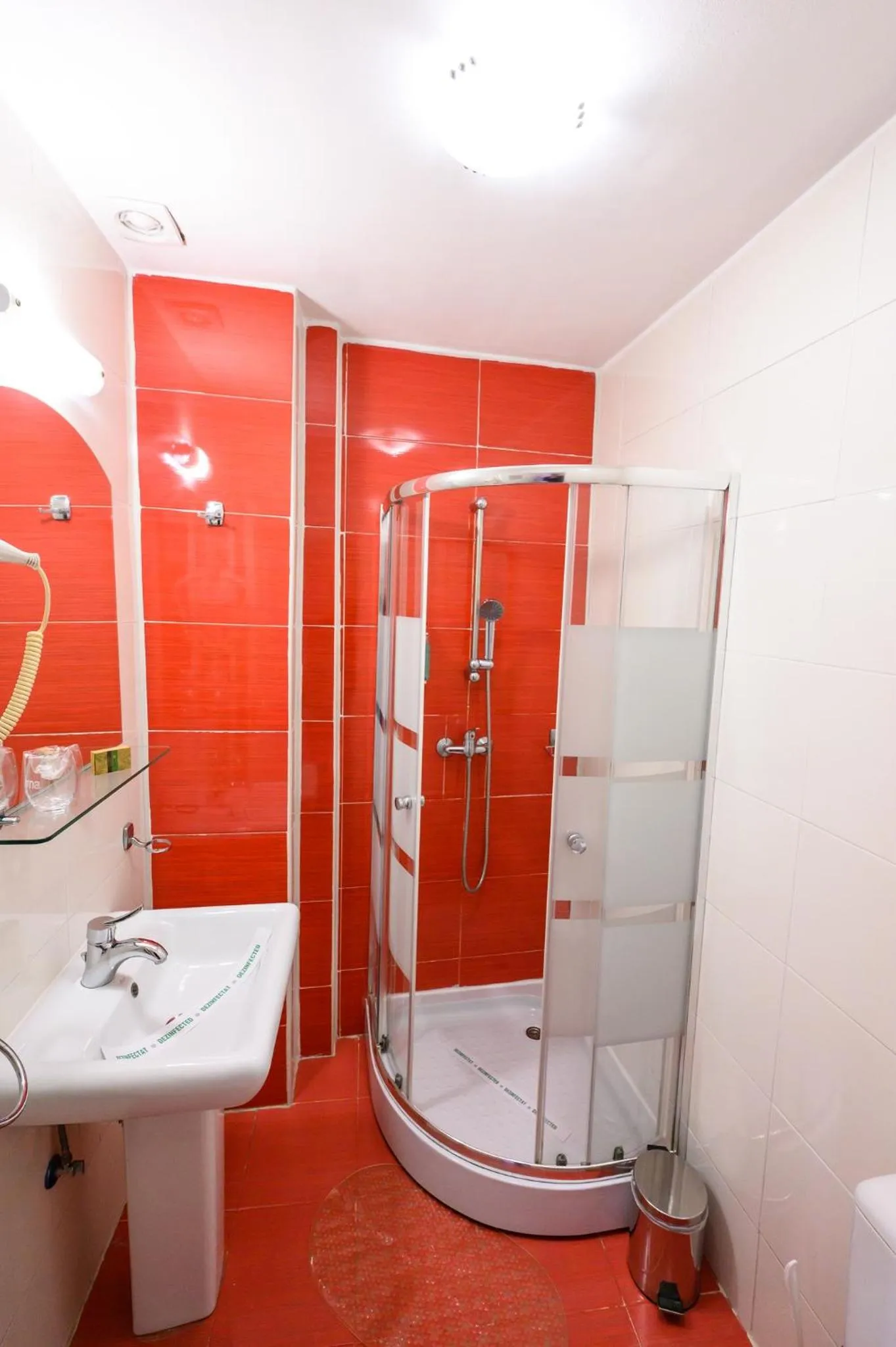 Shower in Hotel Transilvania