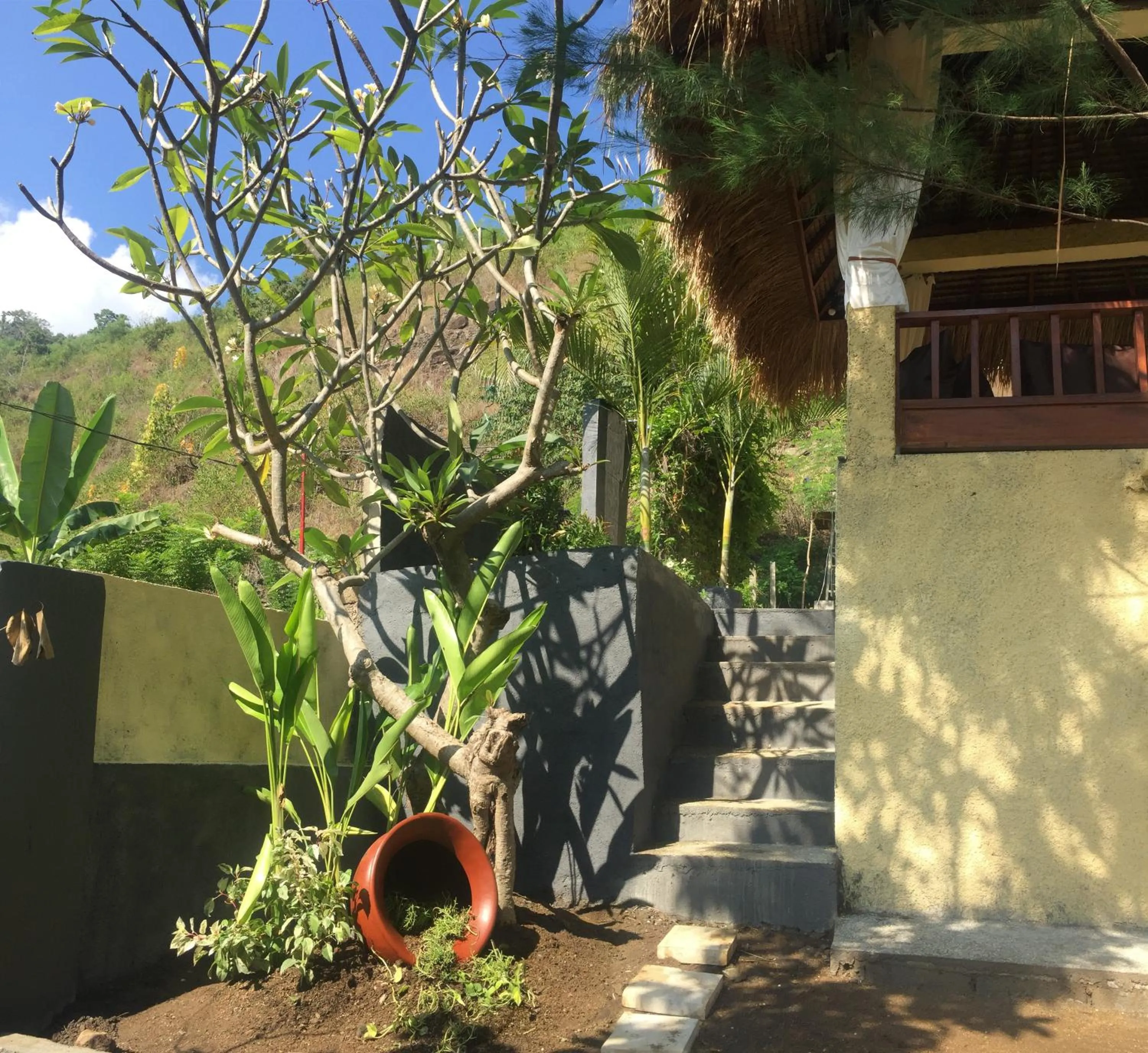 Garden in Nipah Villas