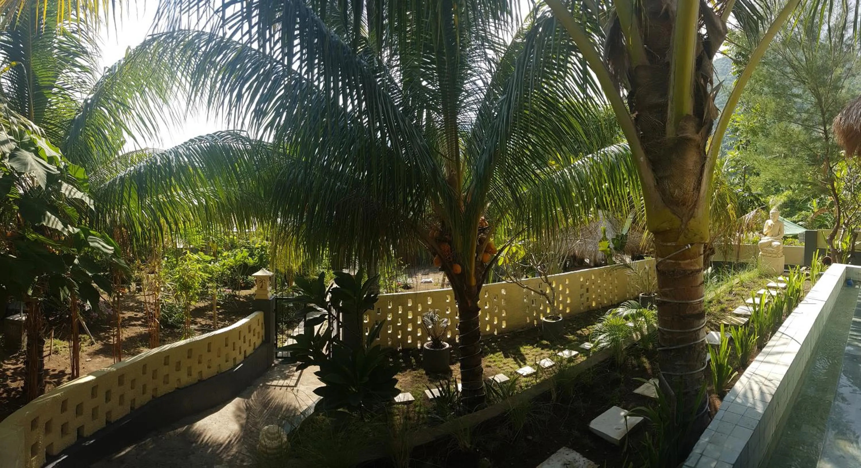 Garden in Nipah Villas