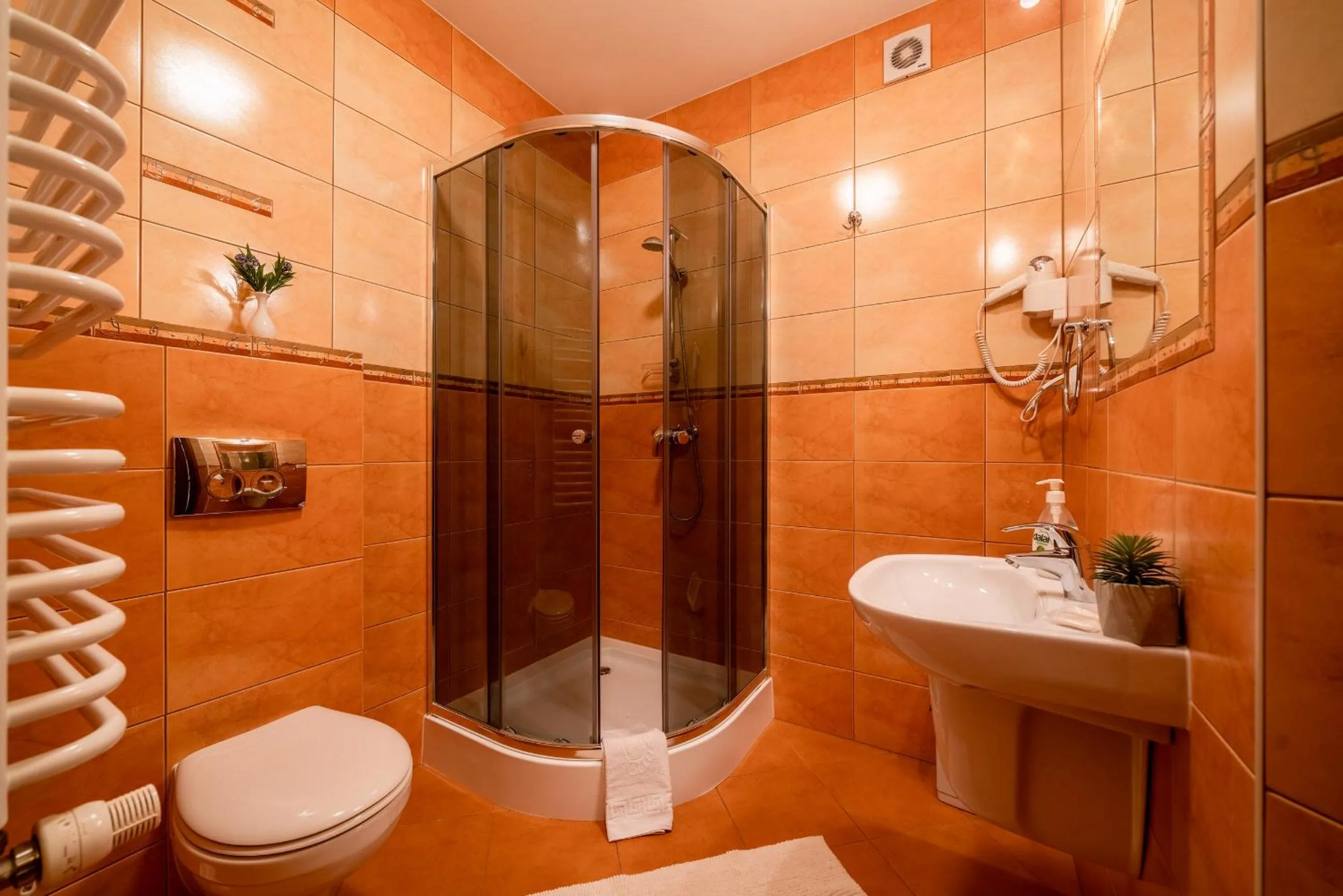 Shower in Willa u Zwijaczy