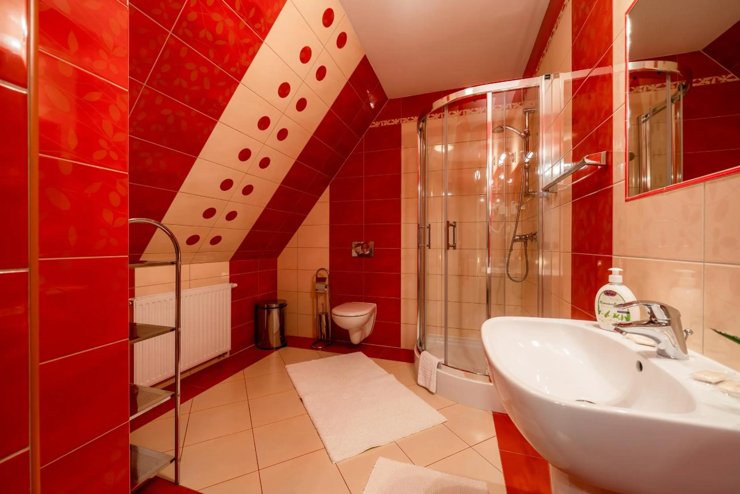 Shower in Willa u Zwijaczy