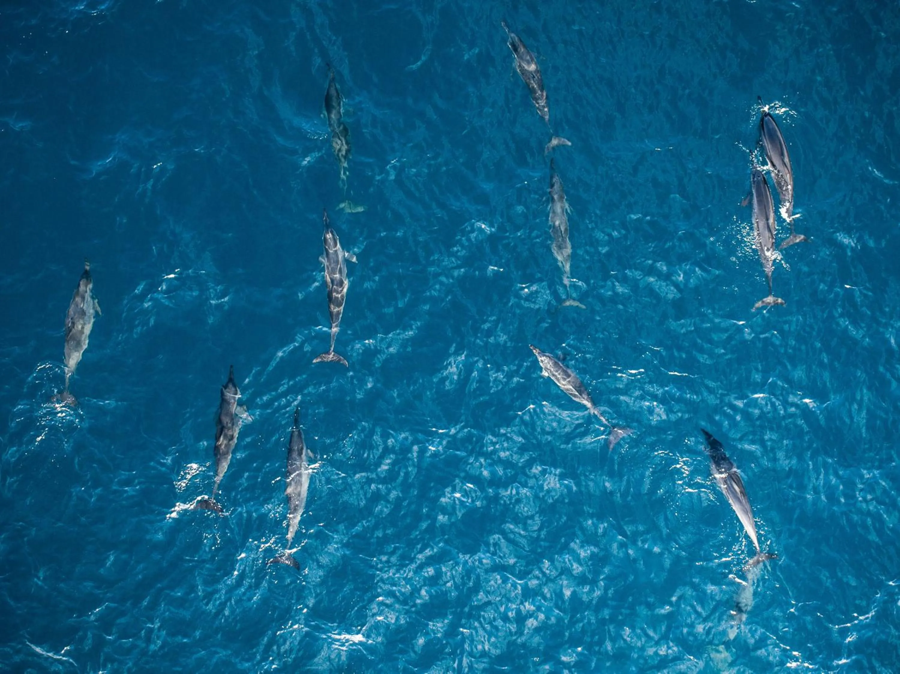 Activities in Season Paradise