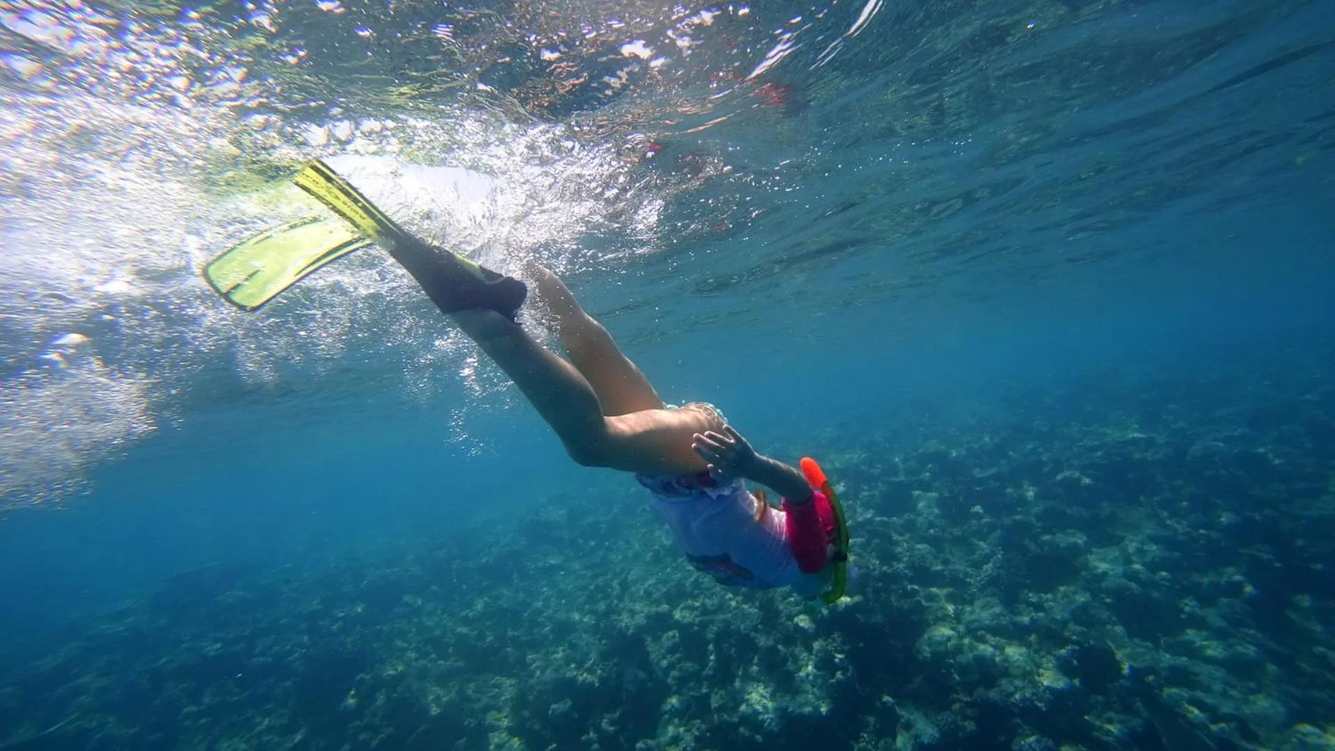 Snorkeling in Season Paradise